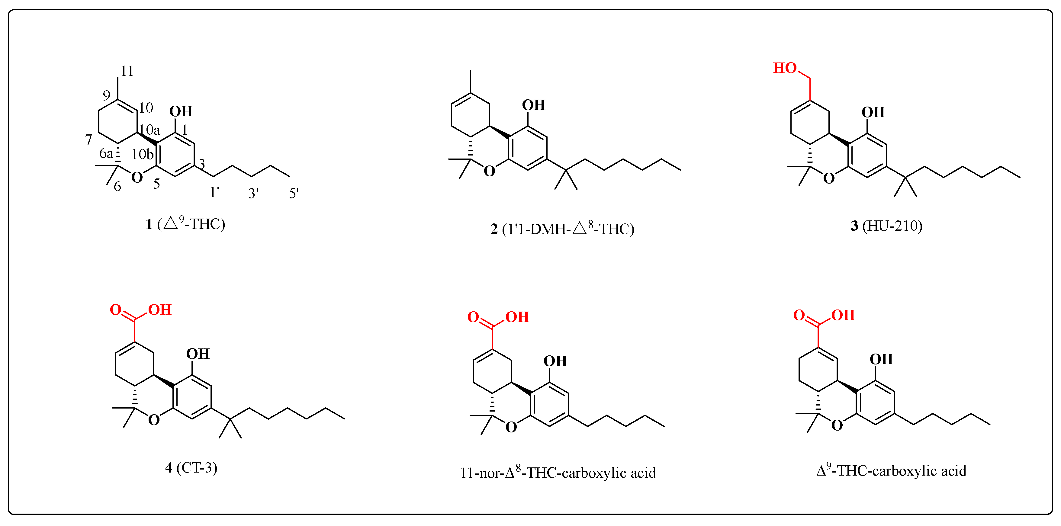 Molecules 29 00526 g001