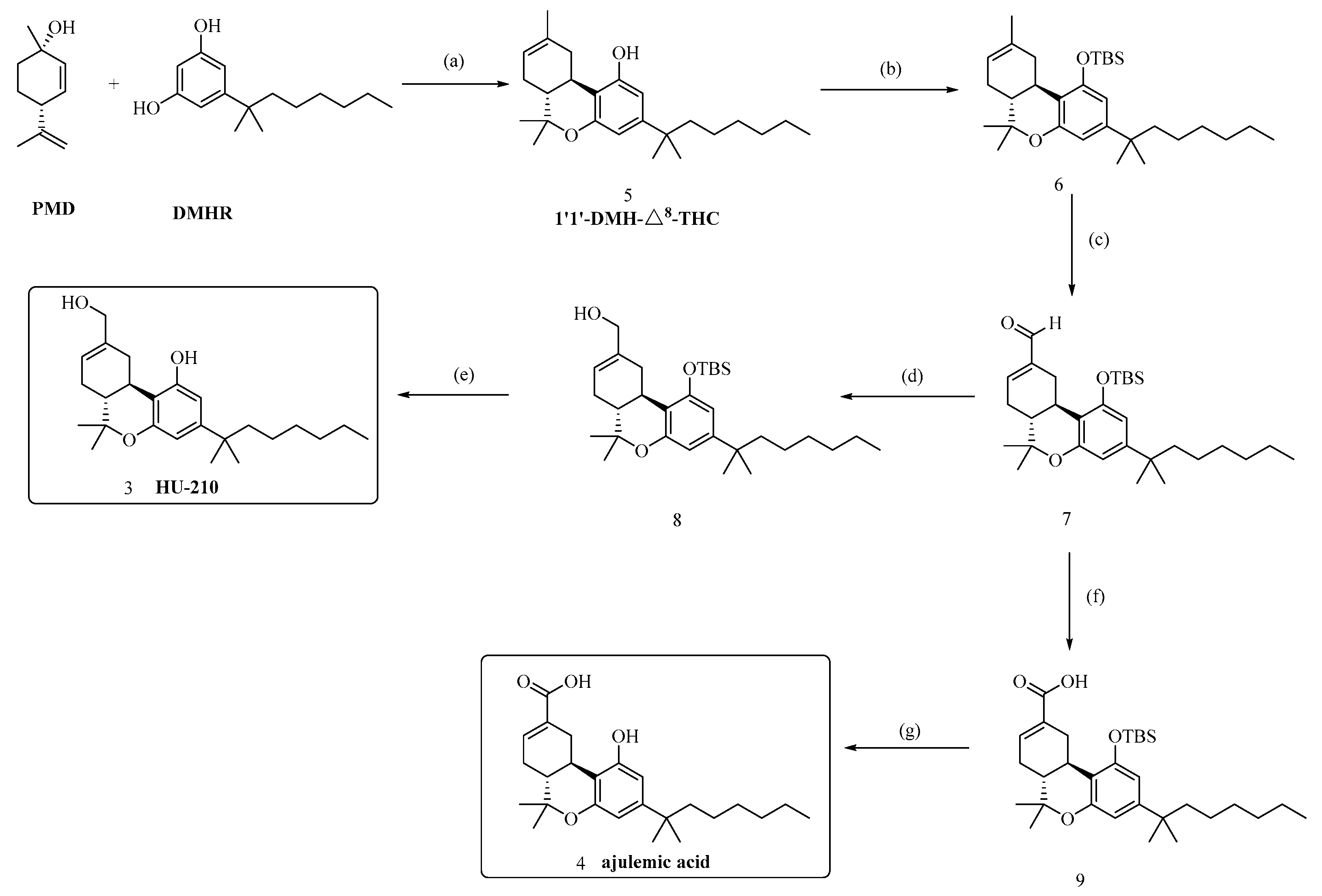 Molecules 29 00526 sch001
