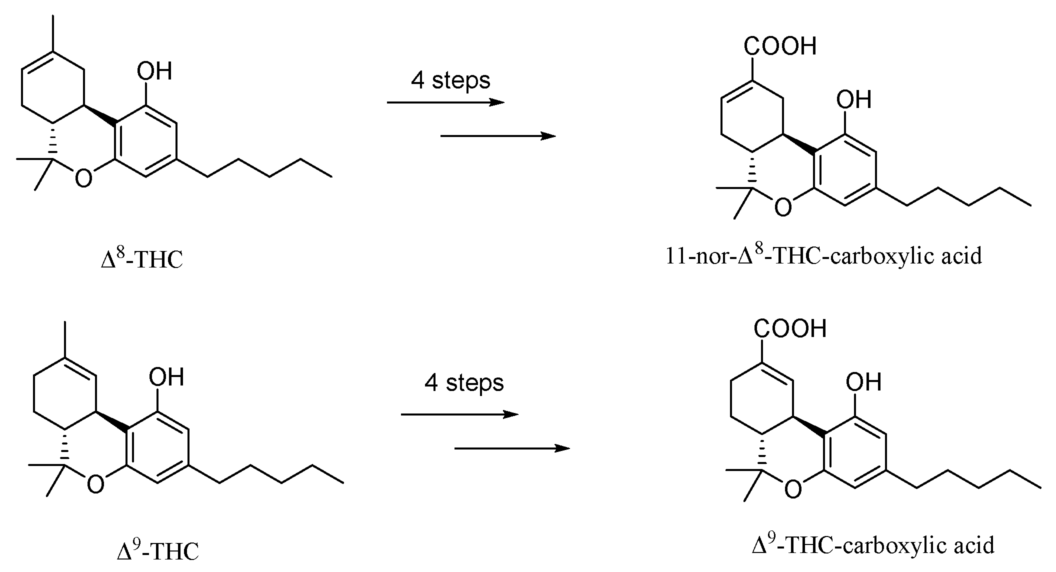 Molecules 29 00526 sch002