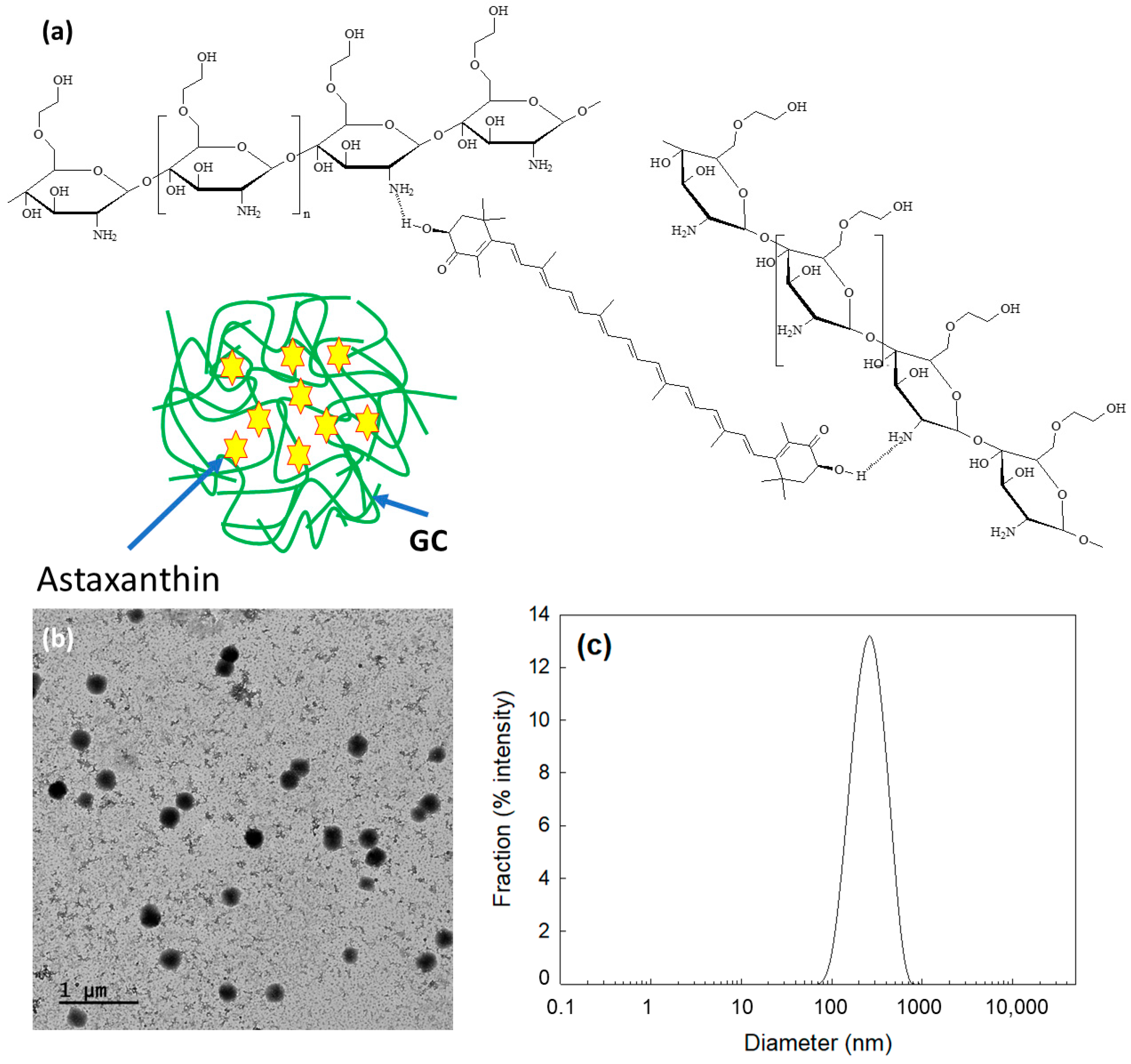 Molecules 29 00529 g001