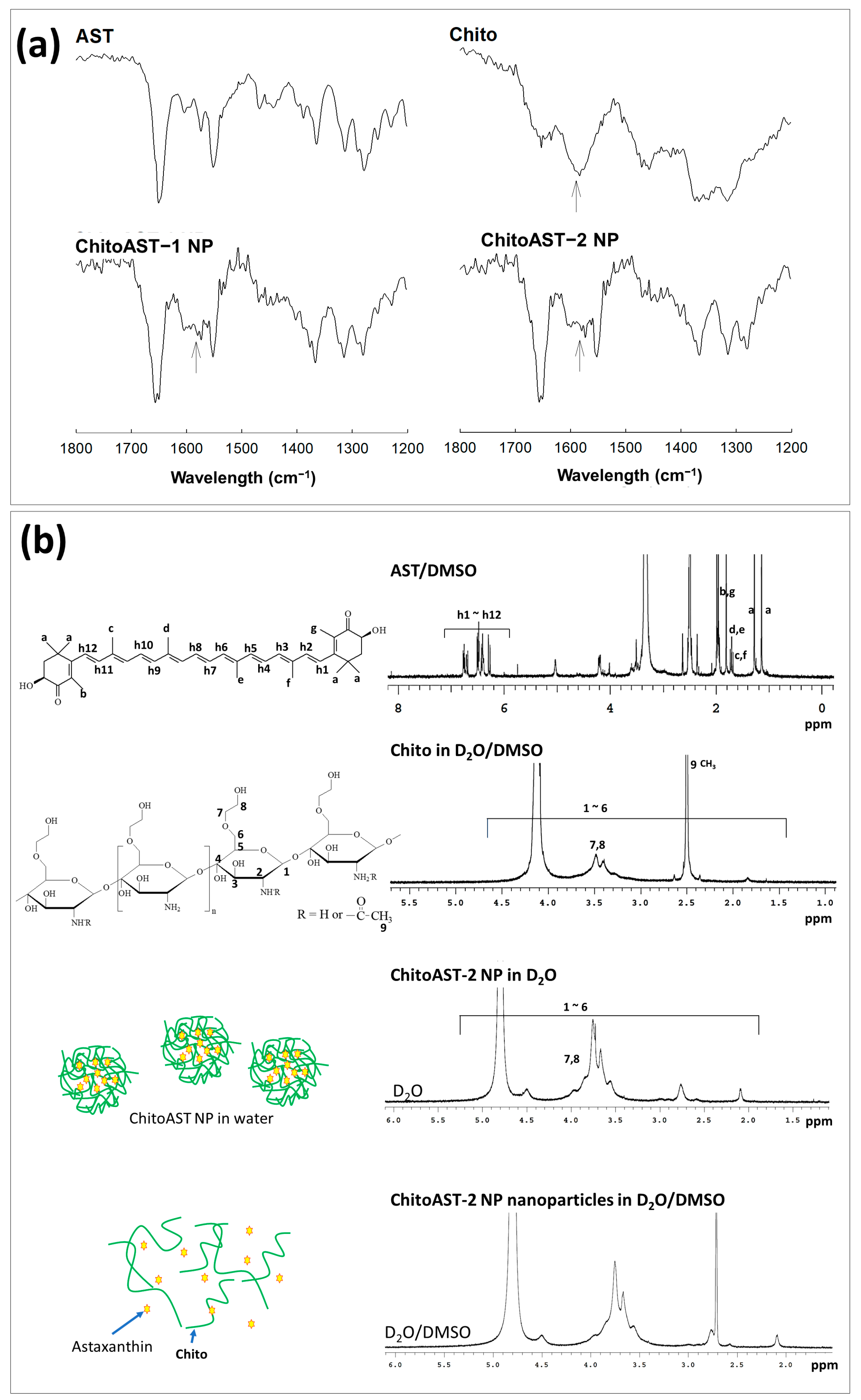 Molecules 29 00529 g002
