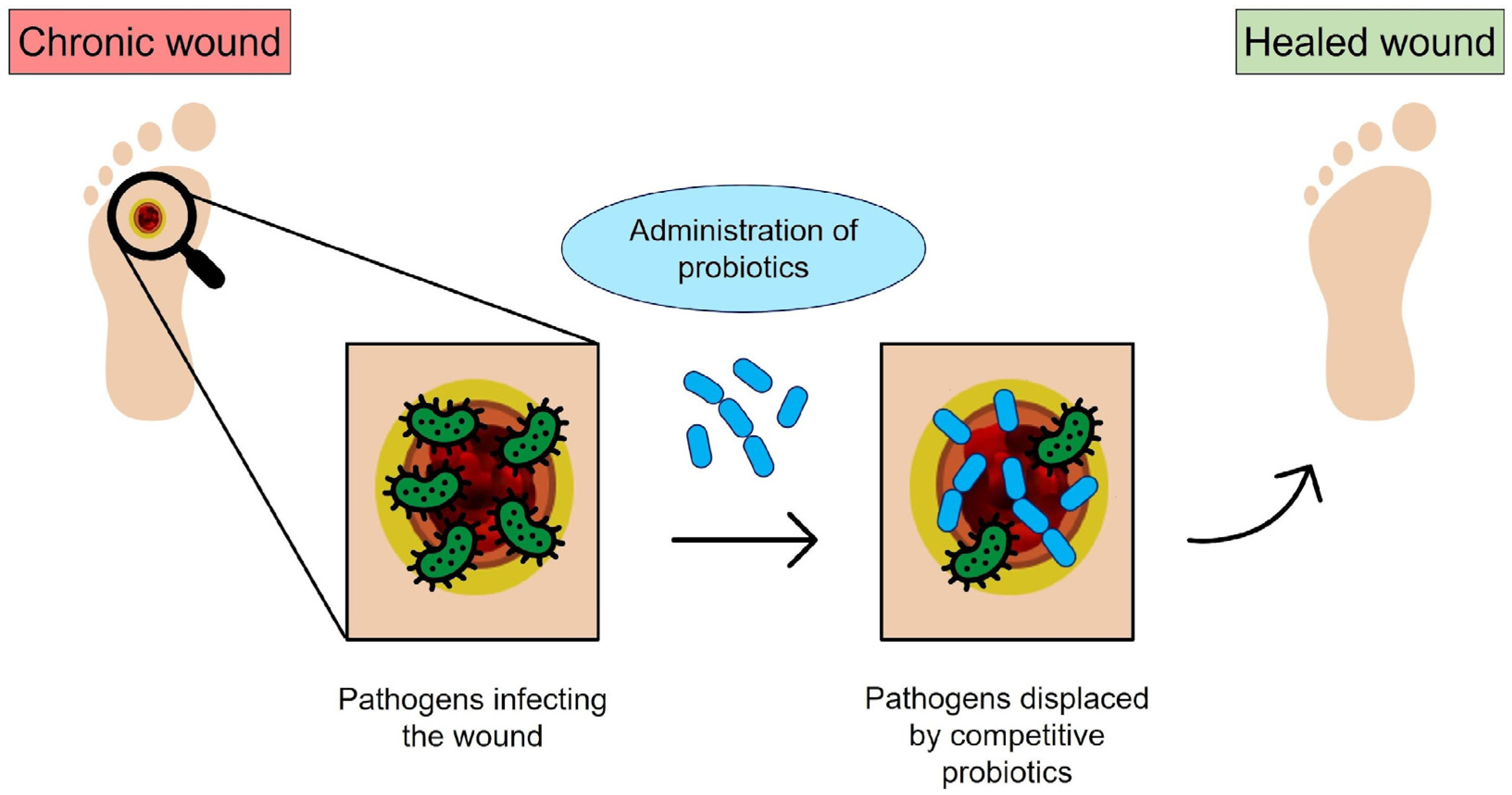 Molecules 29 00533 g001