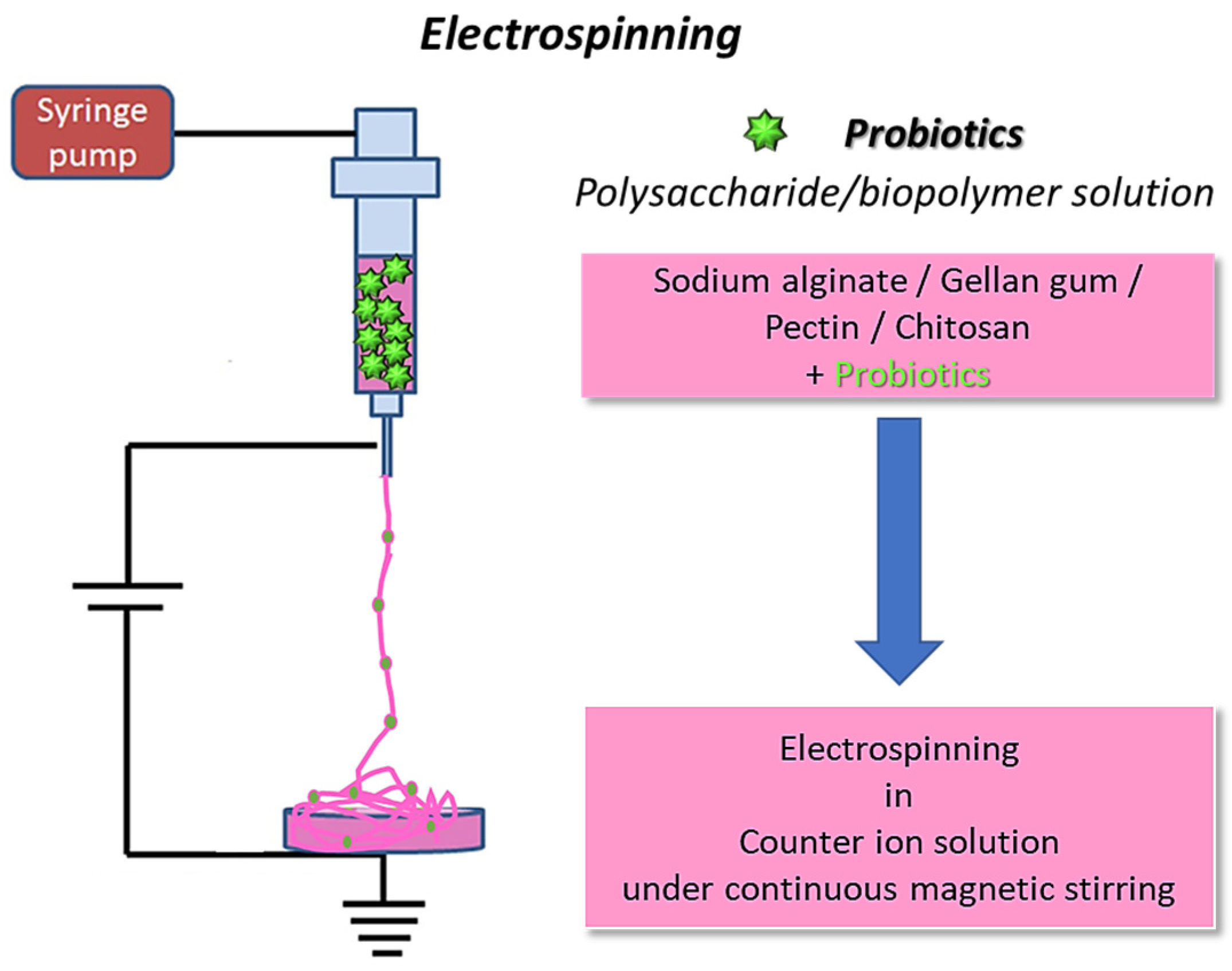 Molecules 29 00533 g002