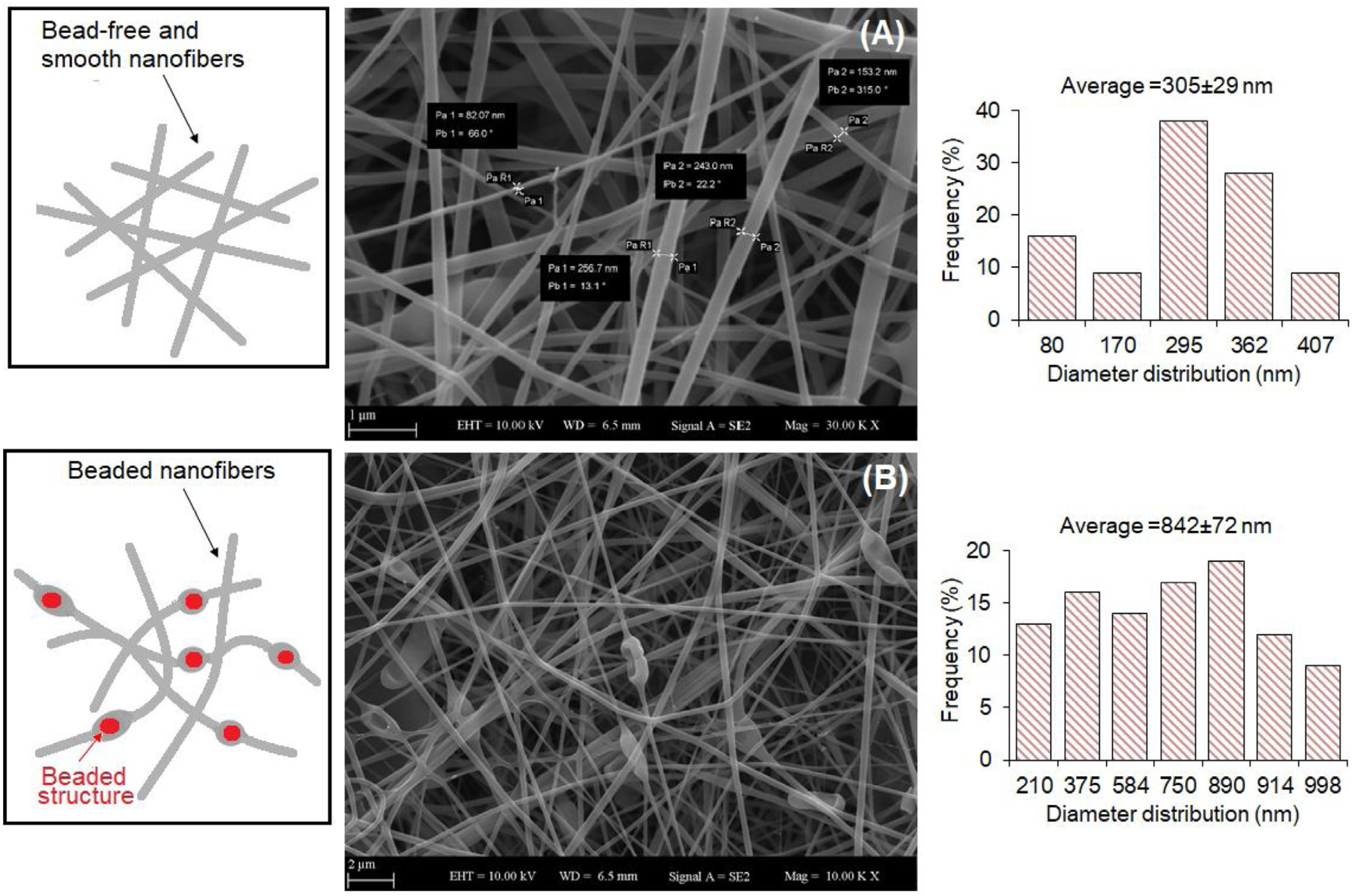 Molecules 29 00533 g003