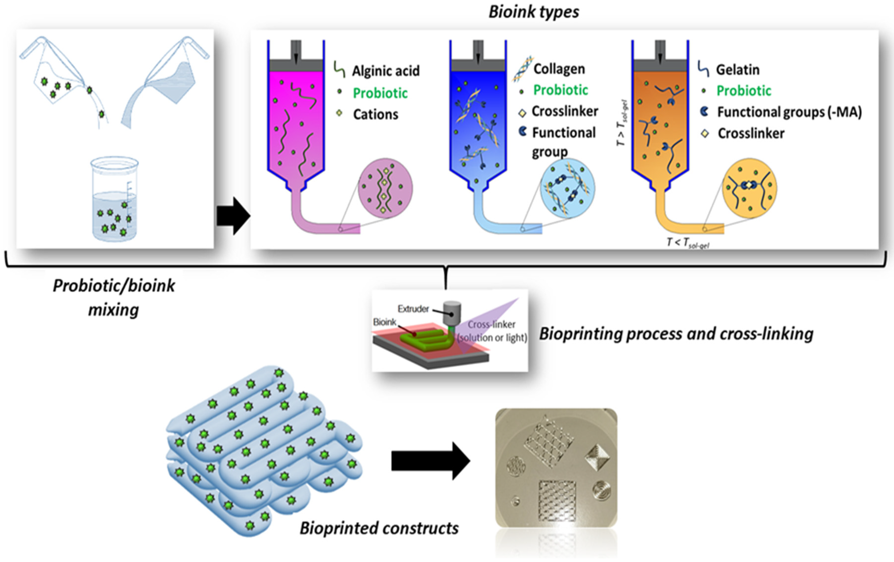 Molecules 29 00533 g007