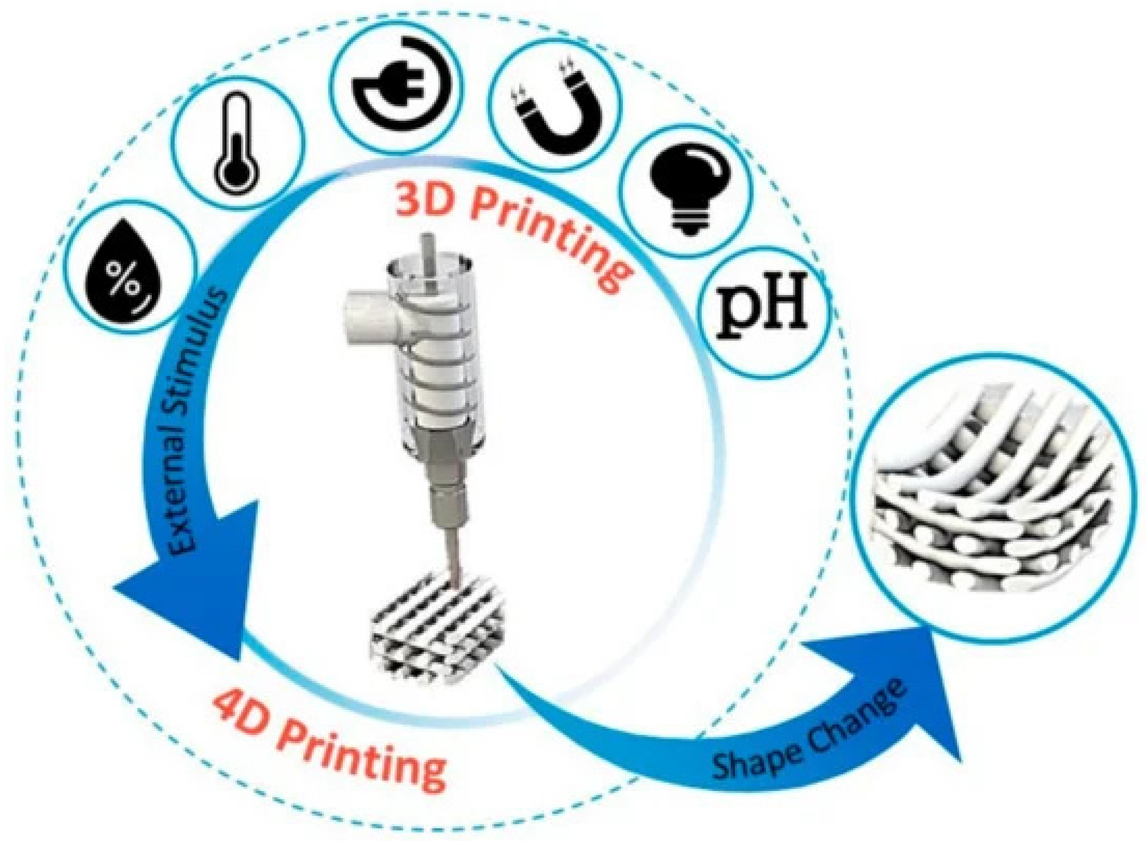 Molecules 29 00533 g010