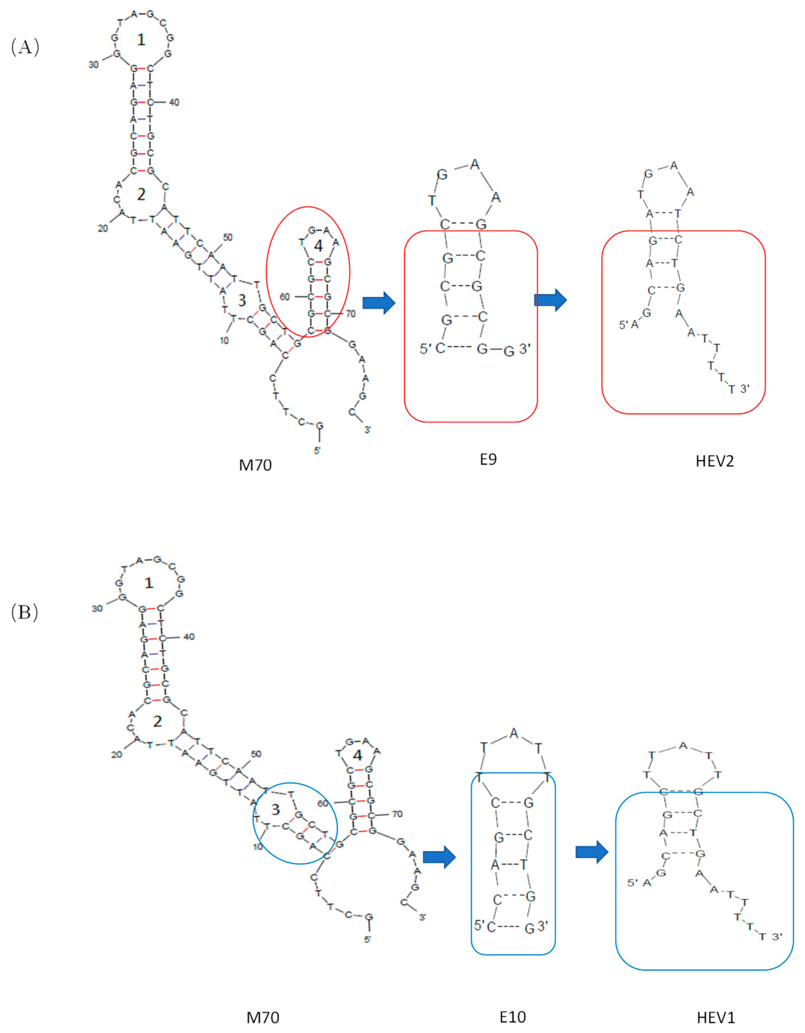 Molecules 29 00535 g007