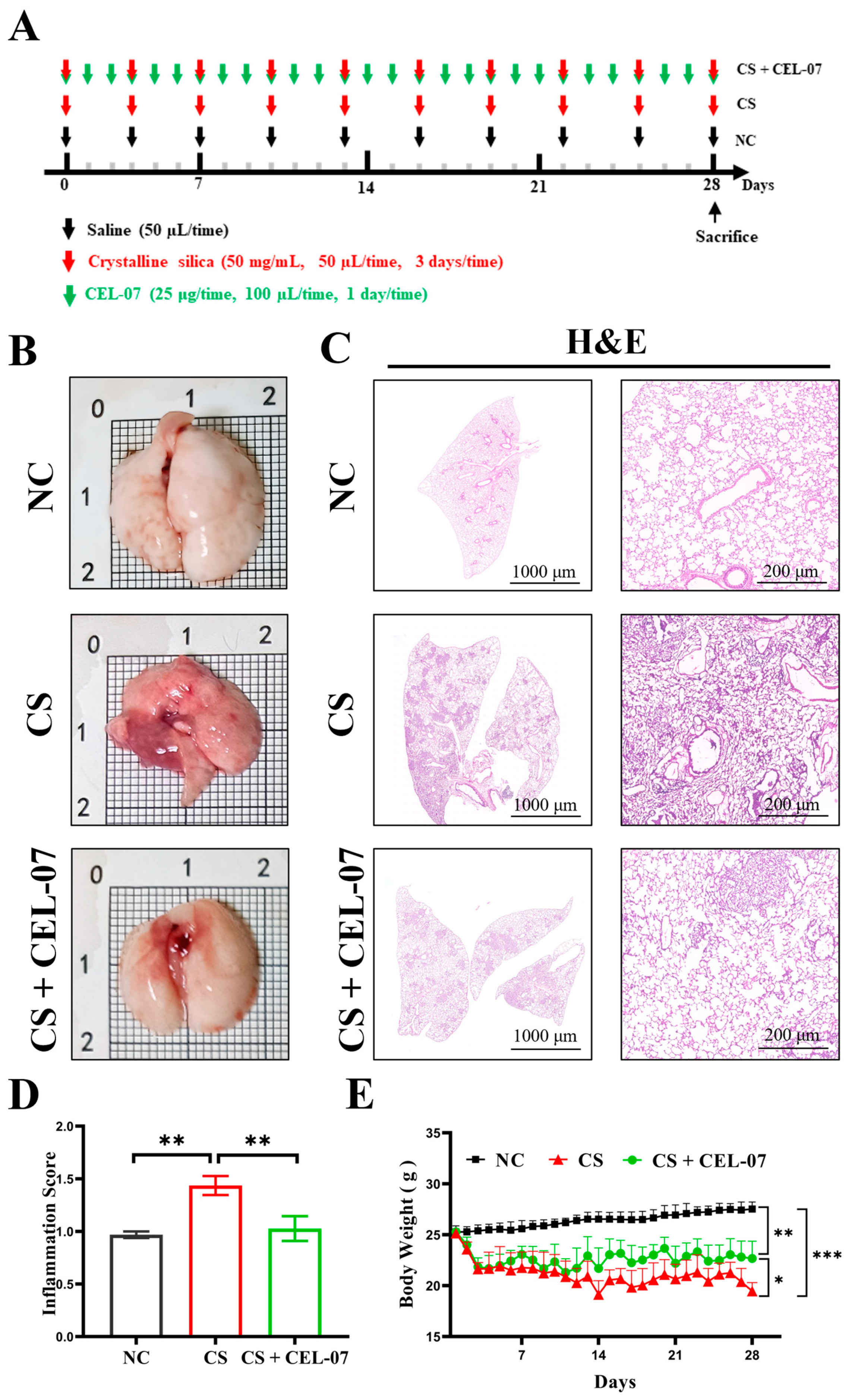 Molecules 29 00538 g002