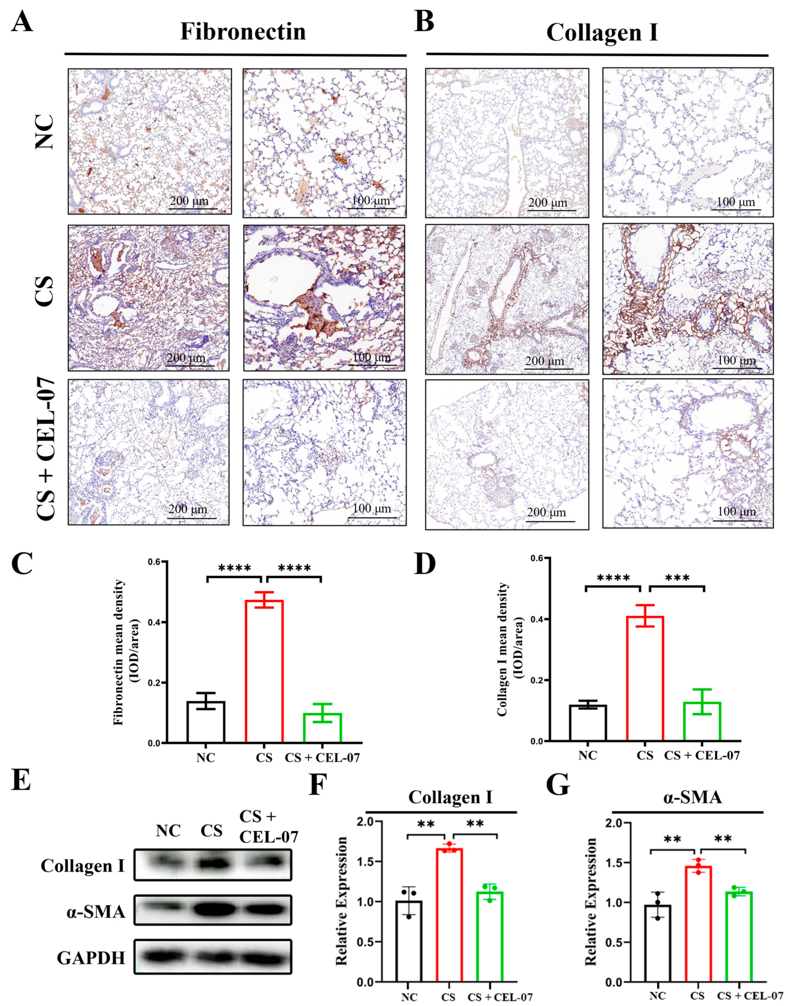 Molecules 29 00538 g004