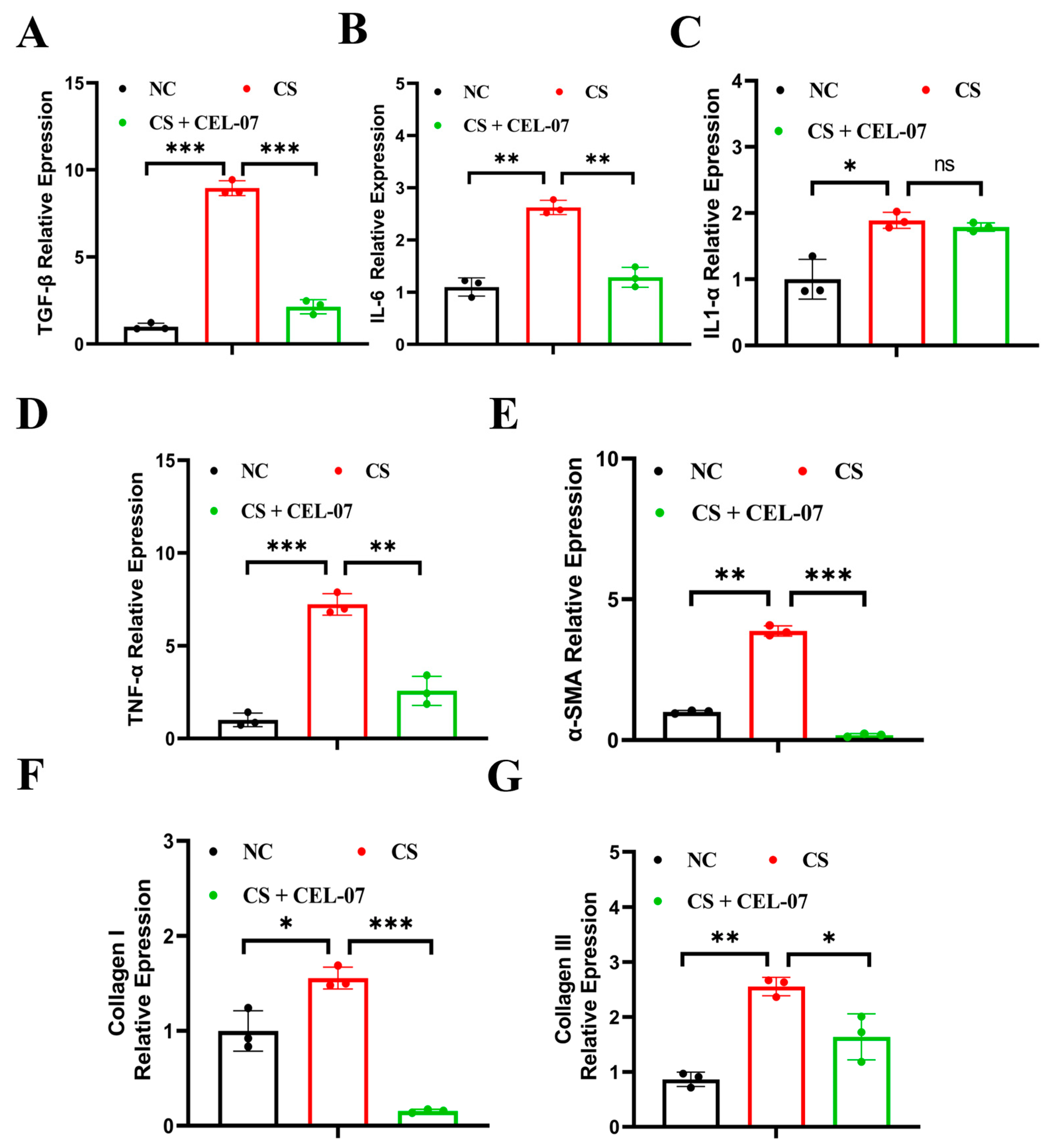 Molecules 29 00538 g006