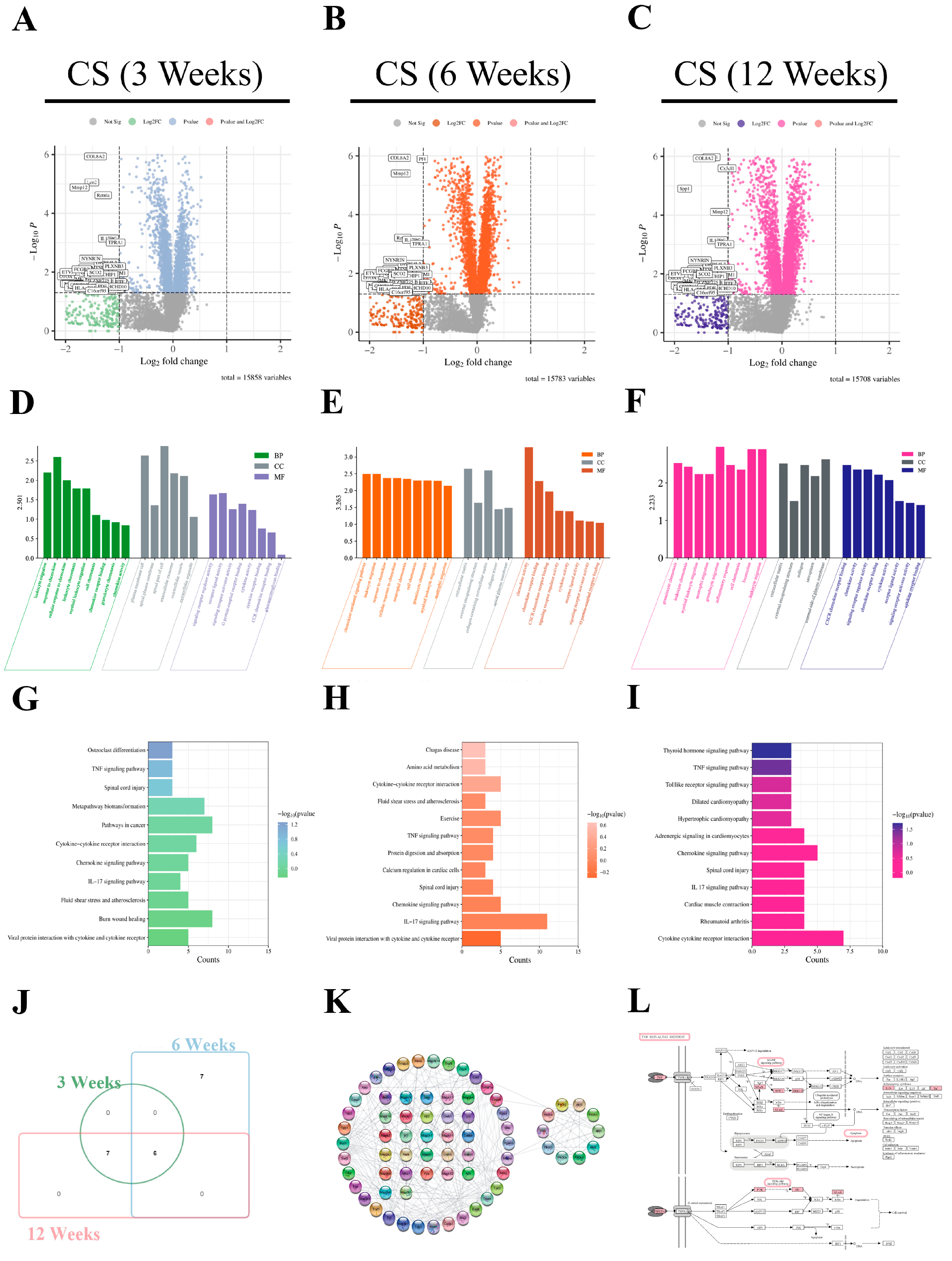 Molecules 29 00538 g010
