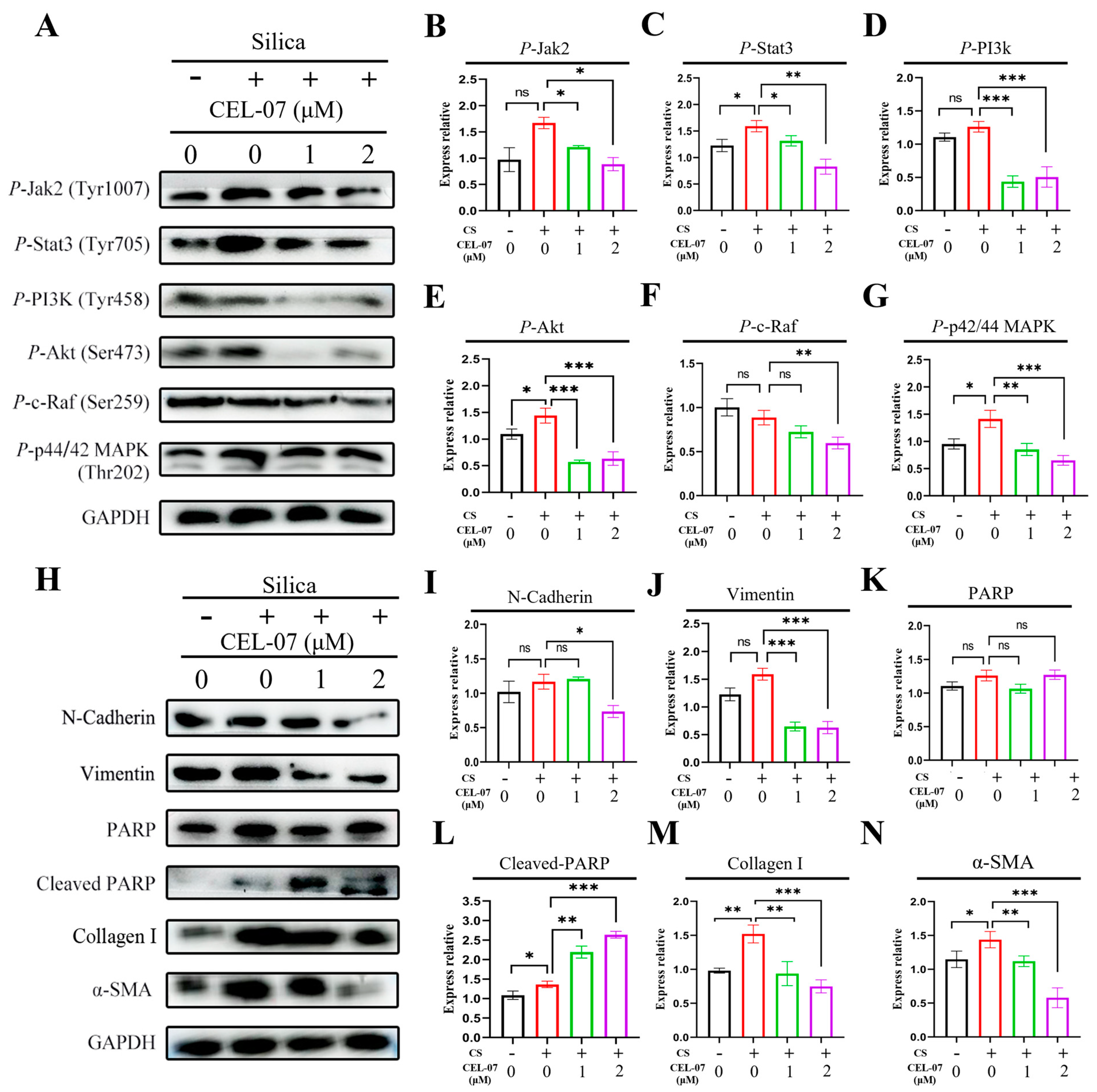 Molecules 29 00538 g011