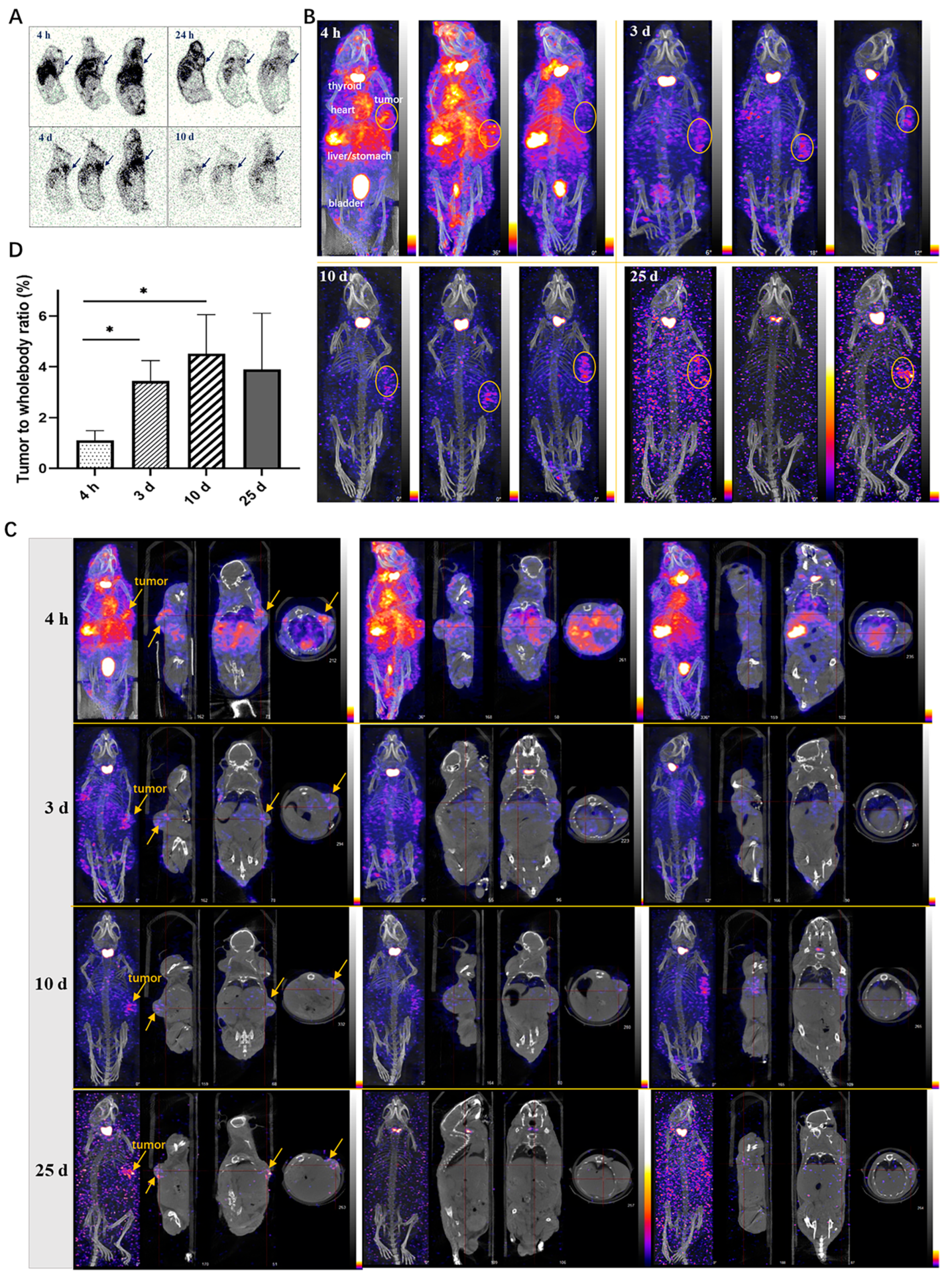 Molecules 29 00545 g006
