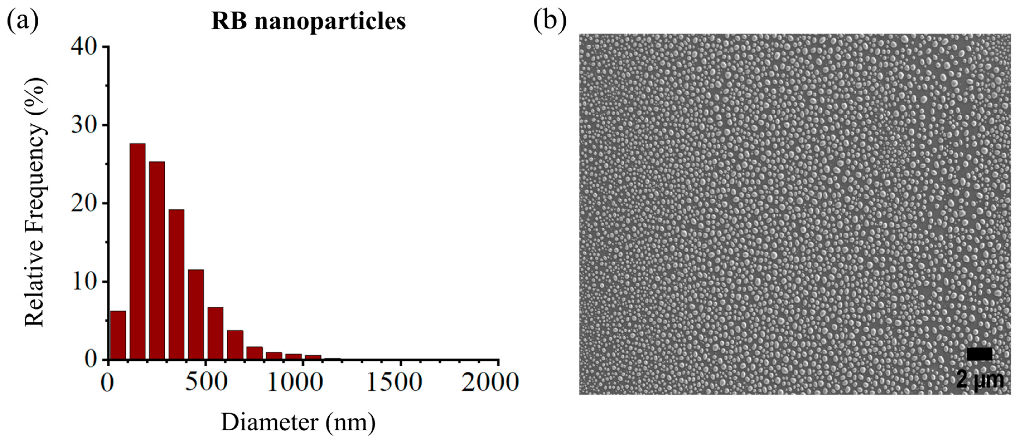Molecules 29 00546 g002
