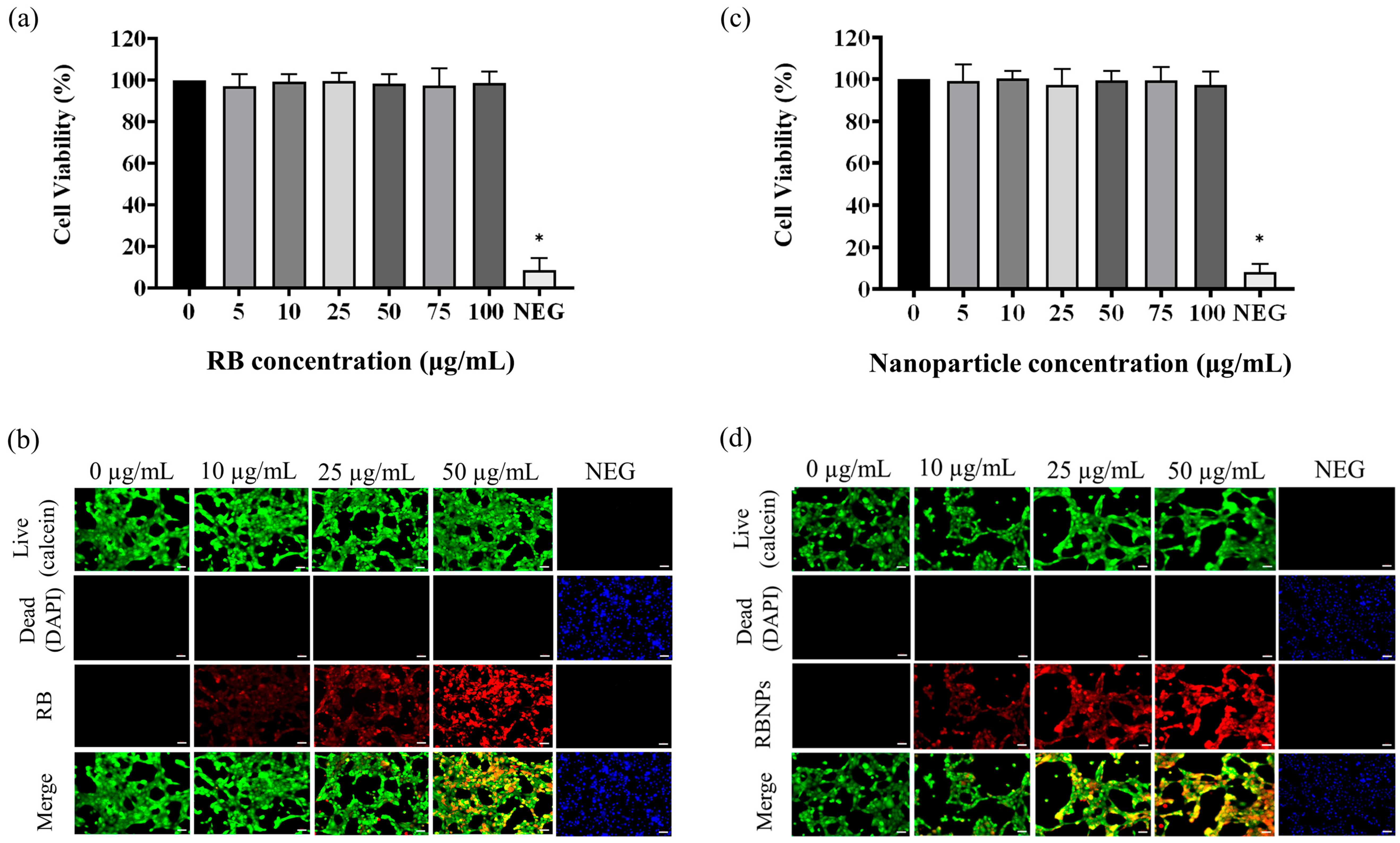 Molecules 29 00546 g009