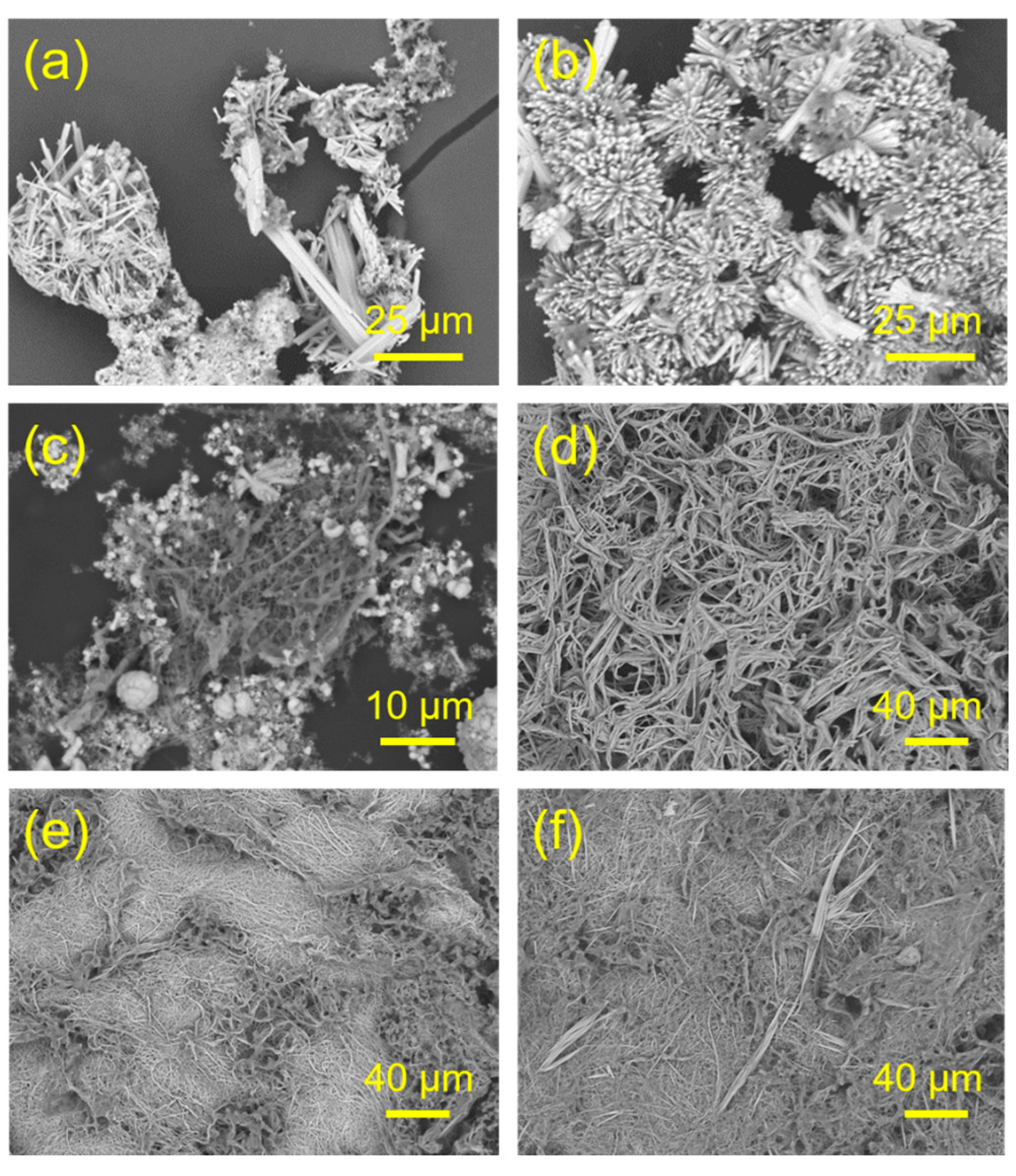 Molecules 29 00549 g006