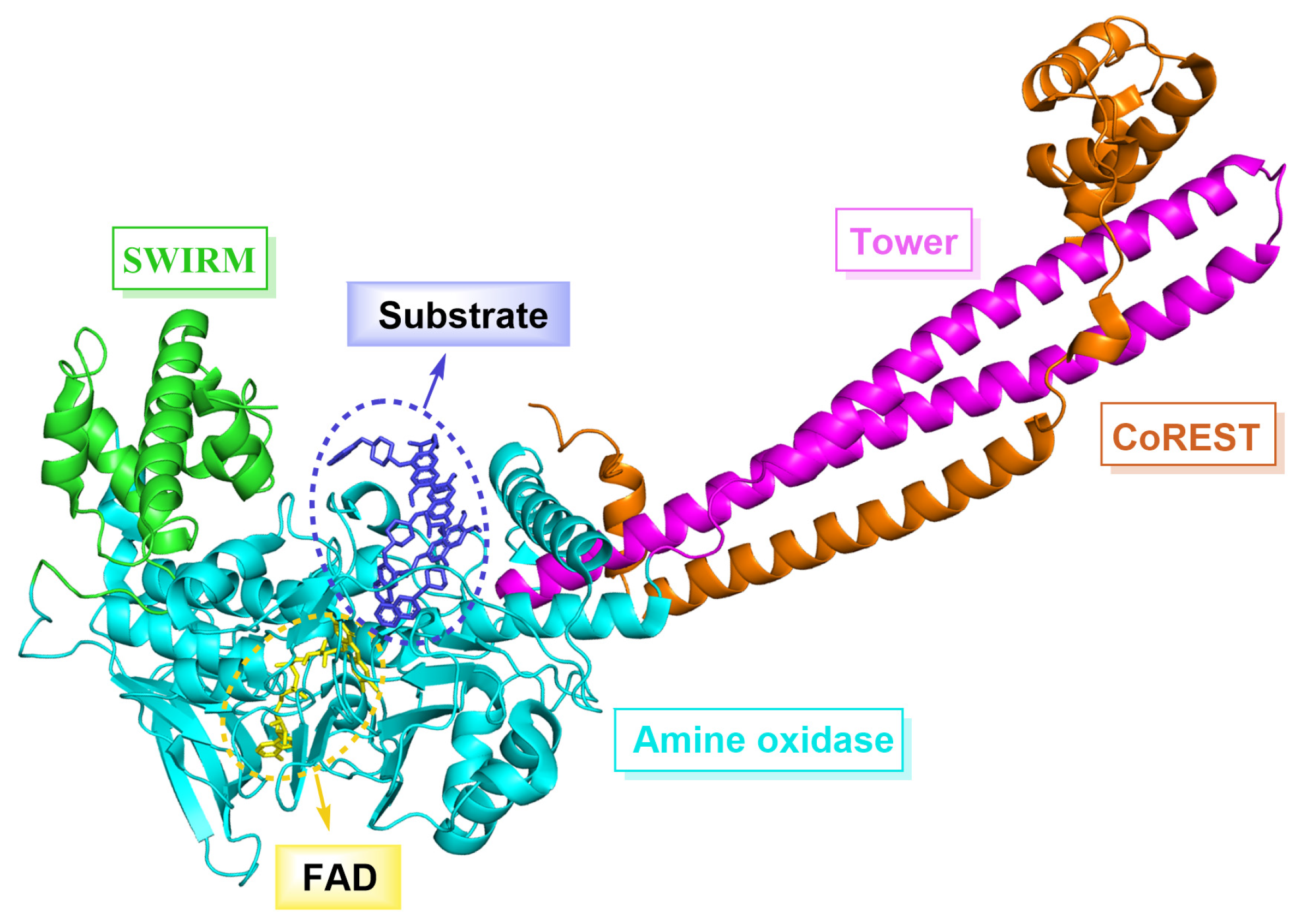 Molecules 29 00550 g001
