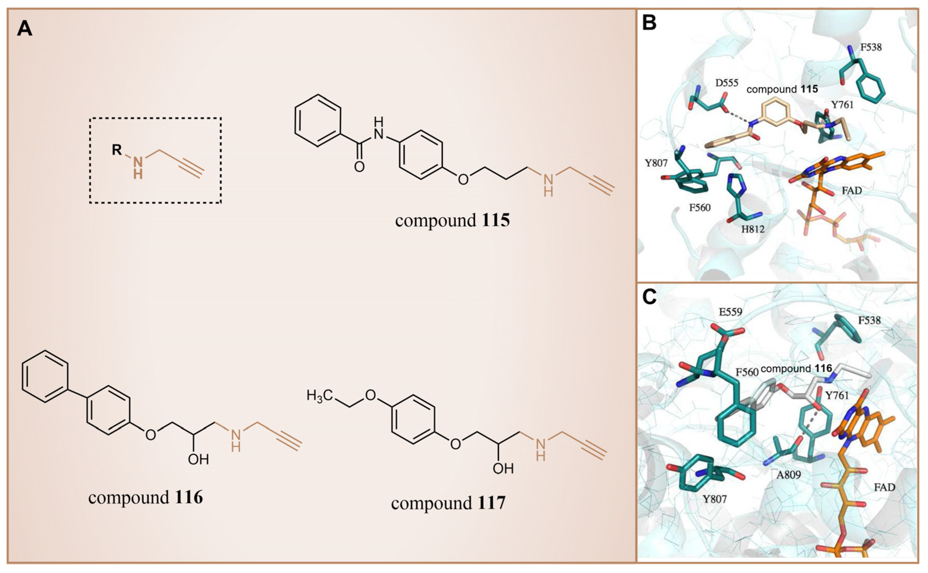 Molecules 29 00550 g026