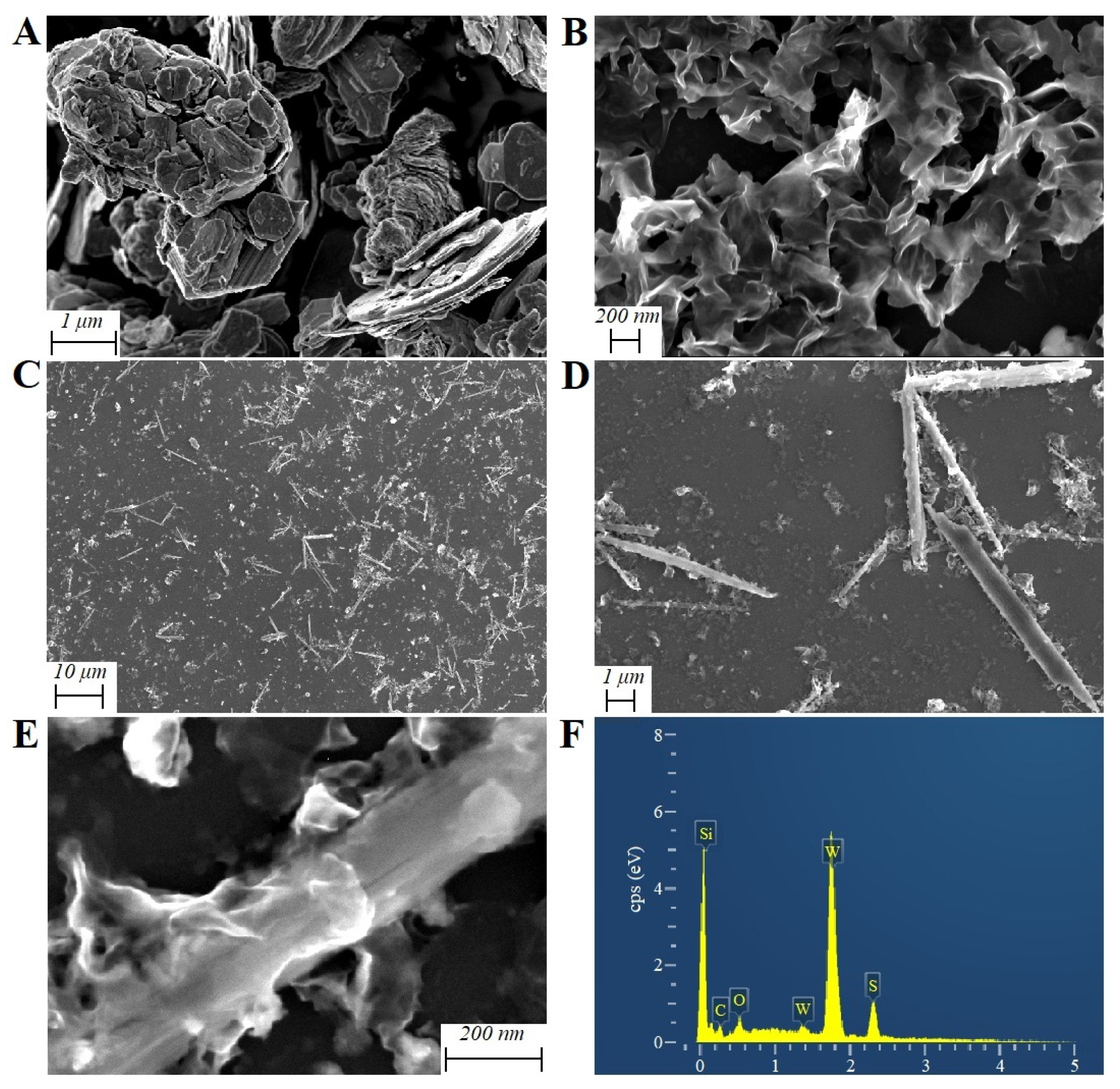 Molecules 29 00552 g001