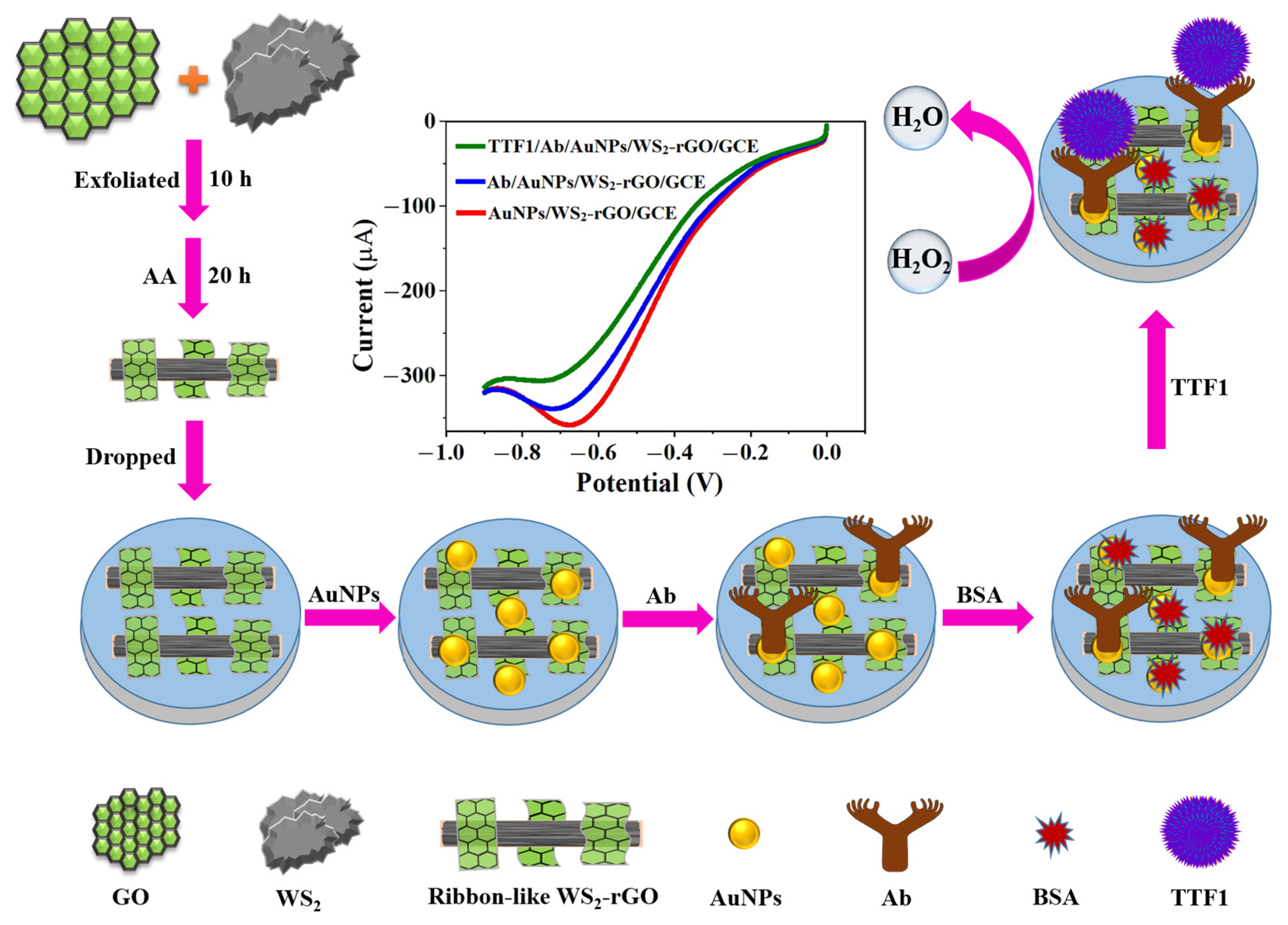 Molecules 29 00552 sch001