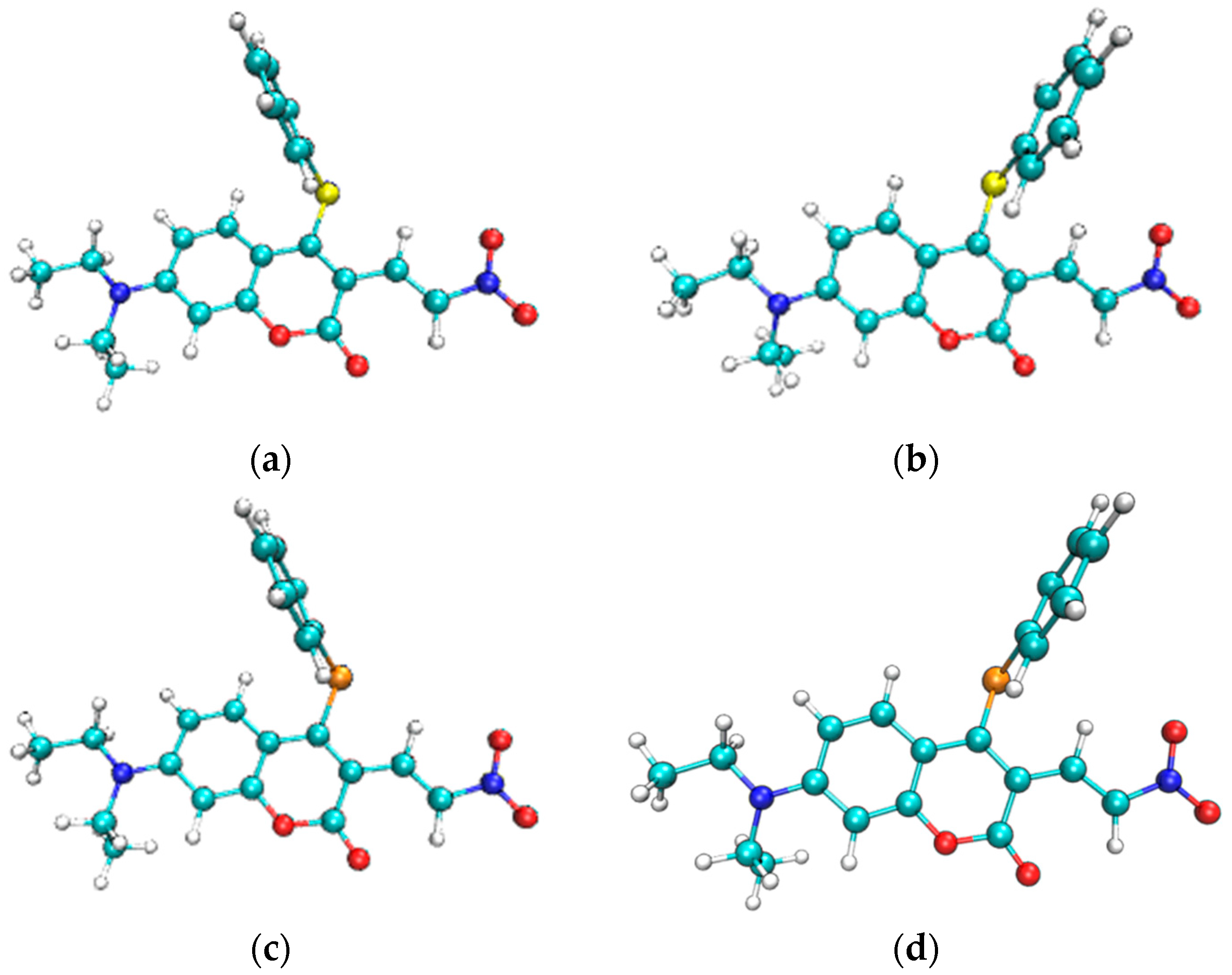 Molecules 29 00554 g003