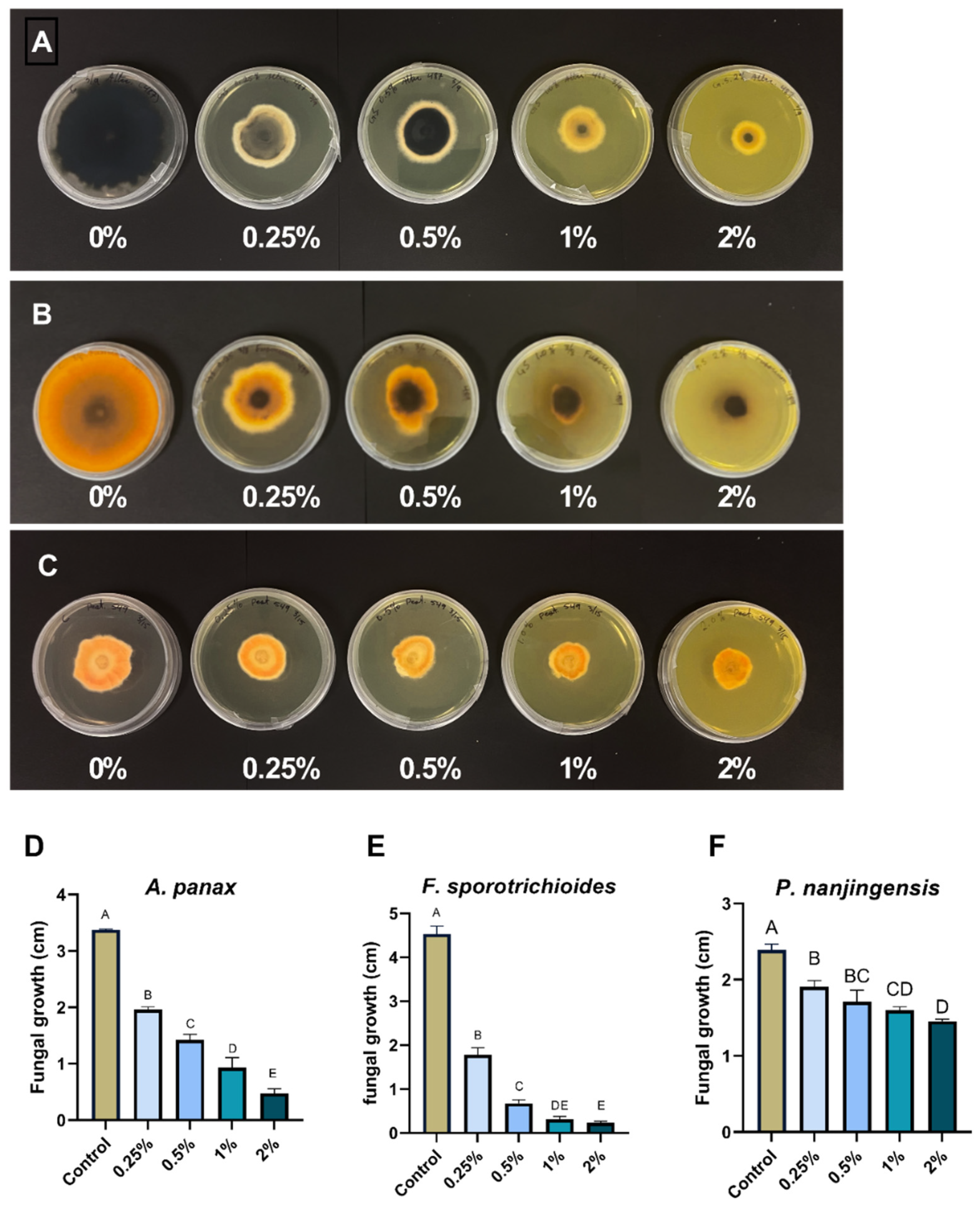 Molecules 29 00556 g002