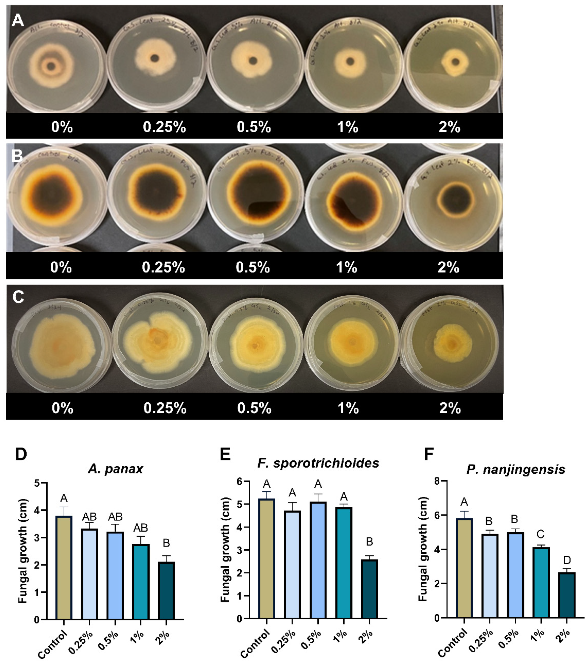 Molecules 29 00556 g004