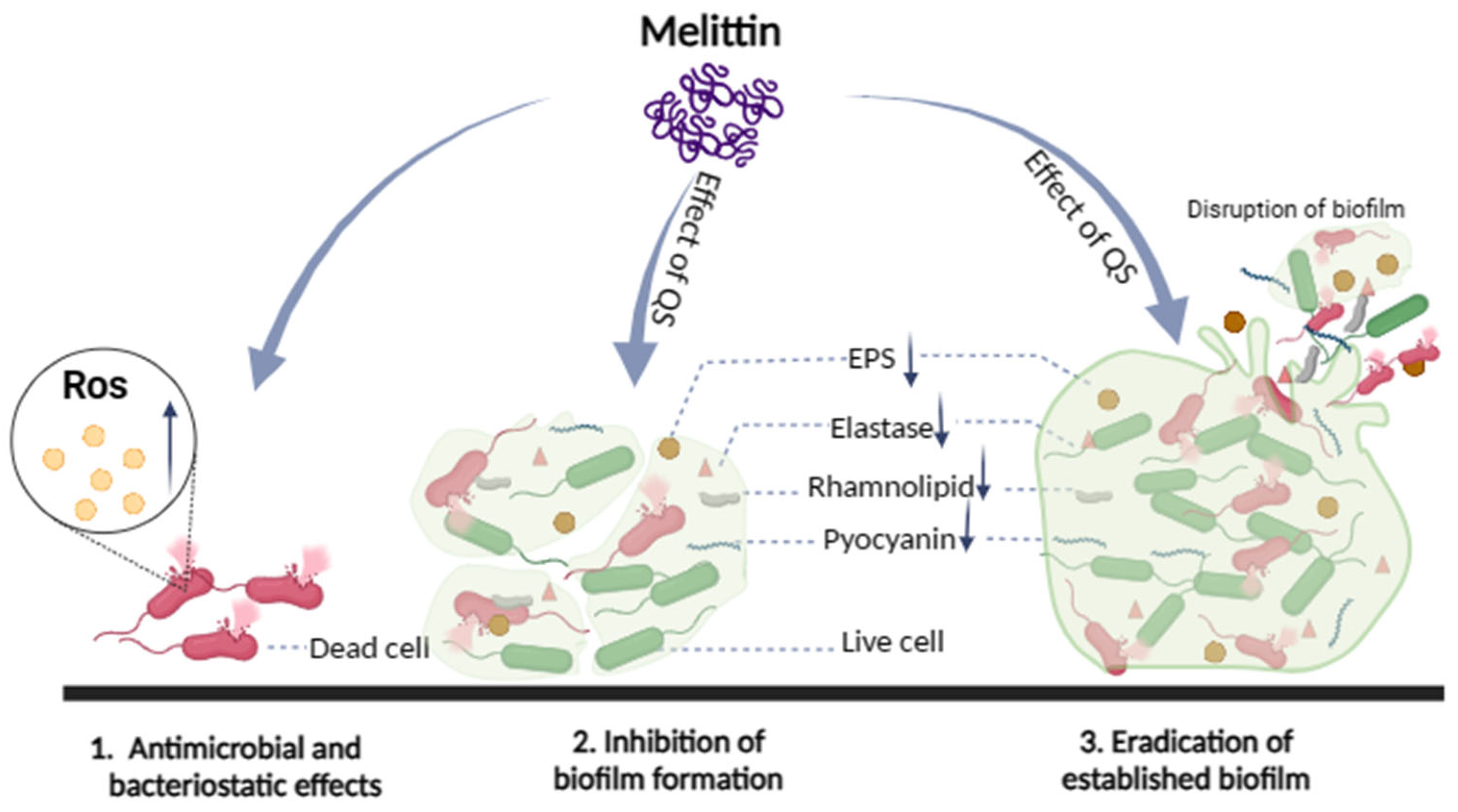 Molecules 29 00558 g012
