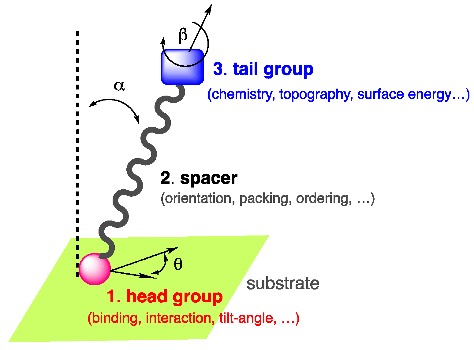 Molecules 29 00559 g001