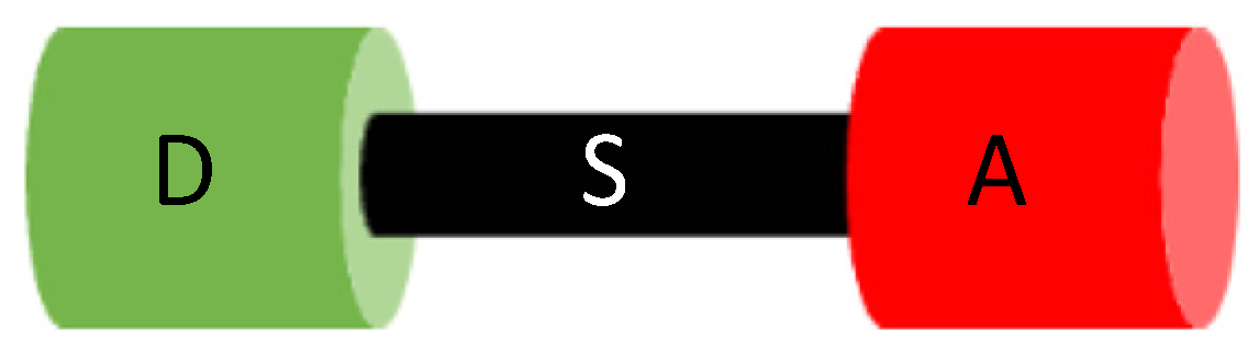 Molecules 29 00559 g002