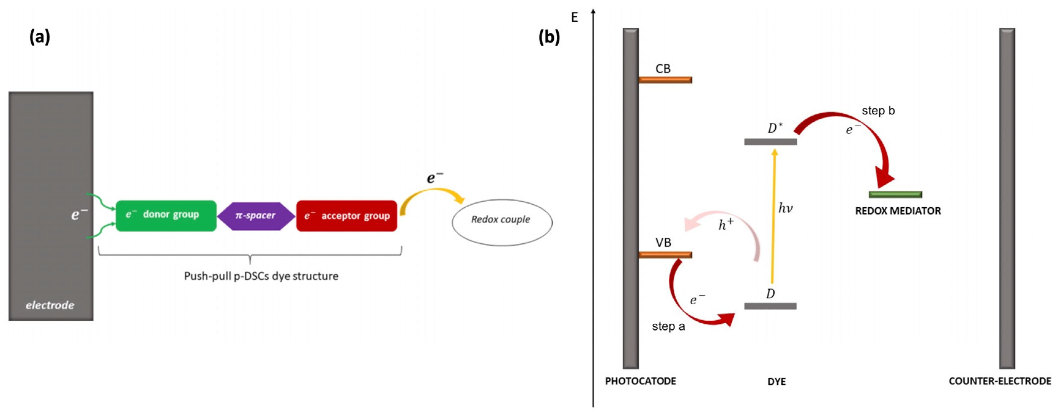 Molecules 29 00559 g003