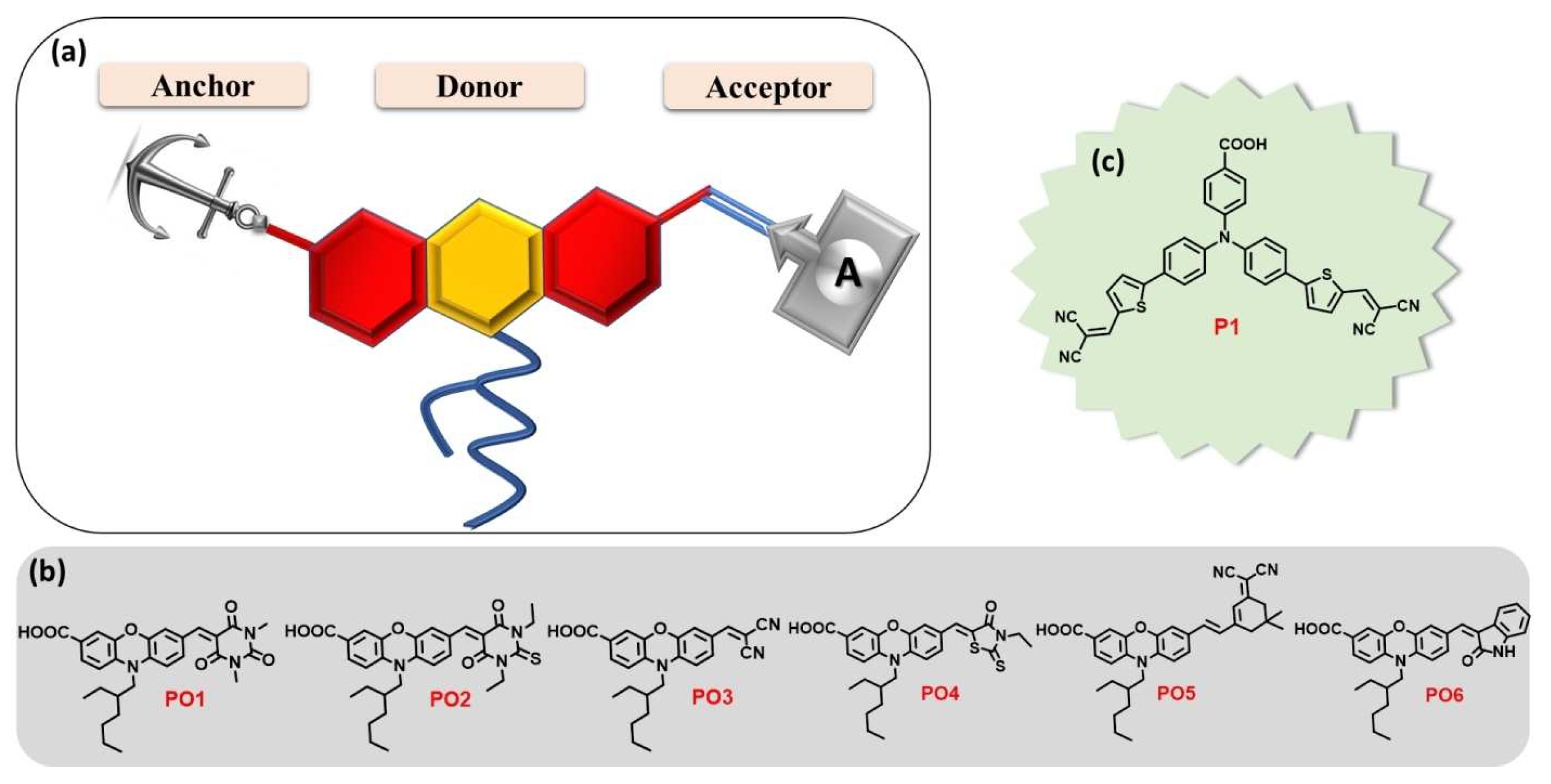 Molecules 29 00559 g004