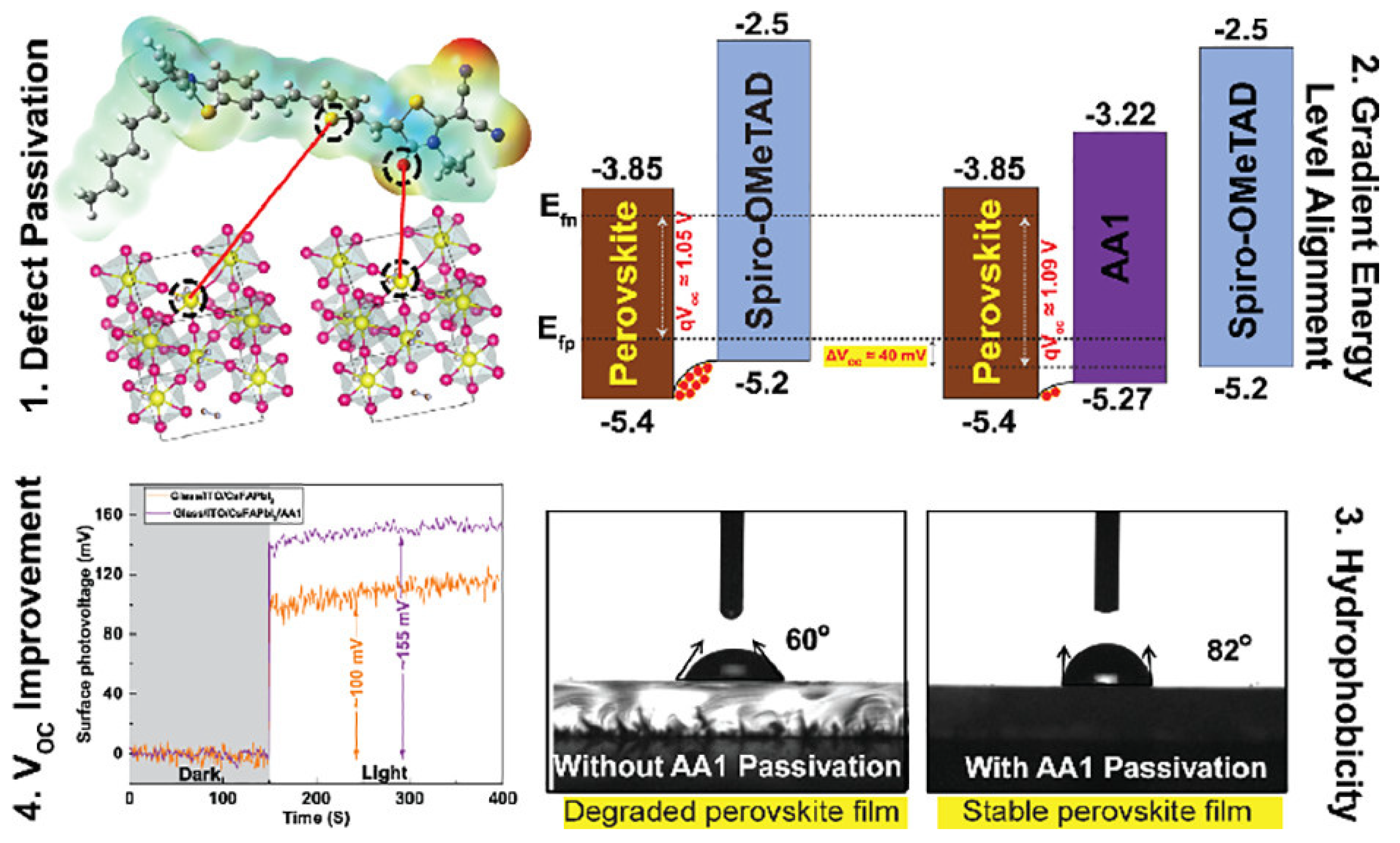 Molecules 29 00559 g011