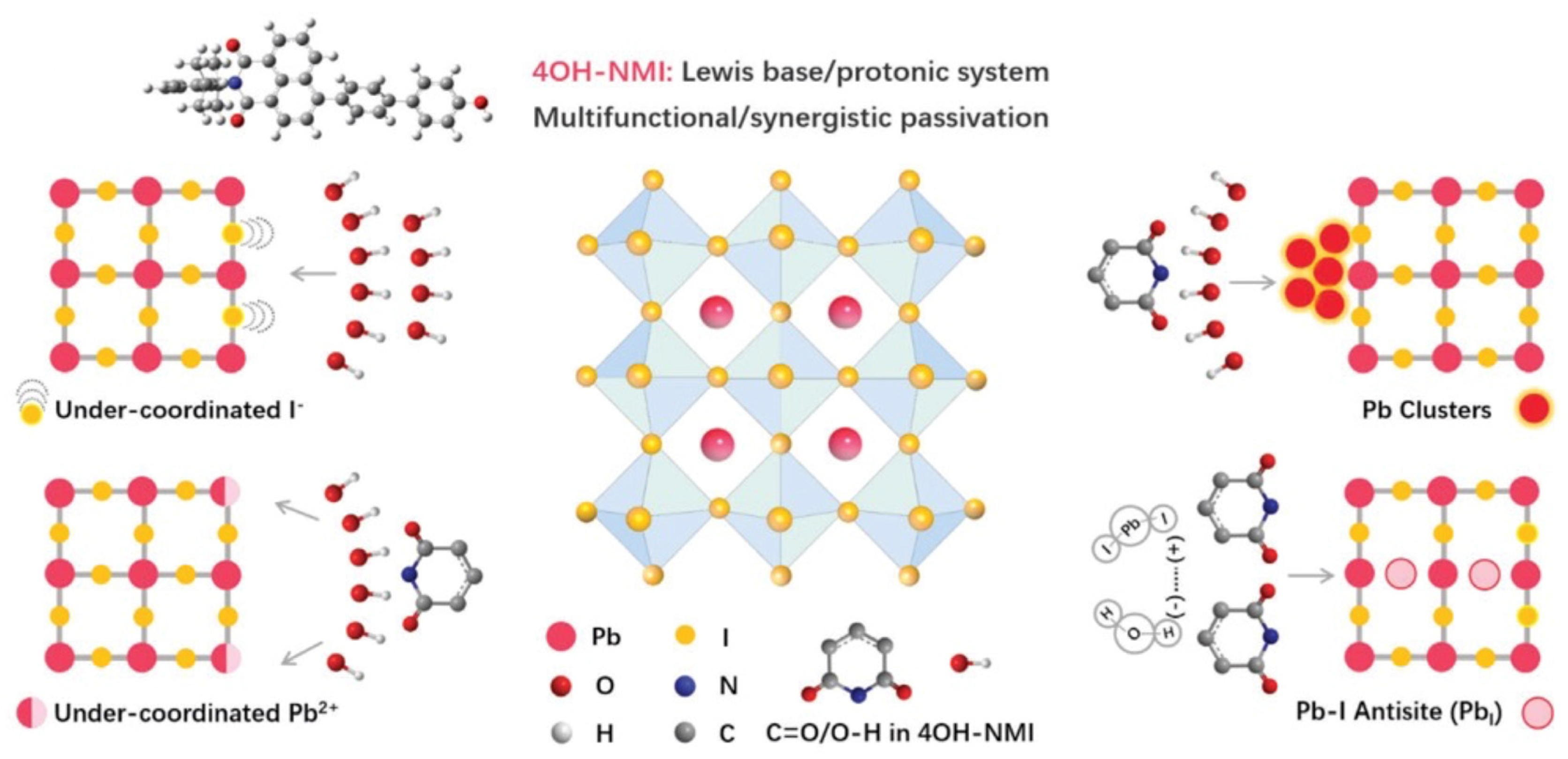 Molecules 29 00559 g012