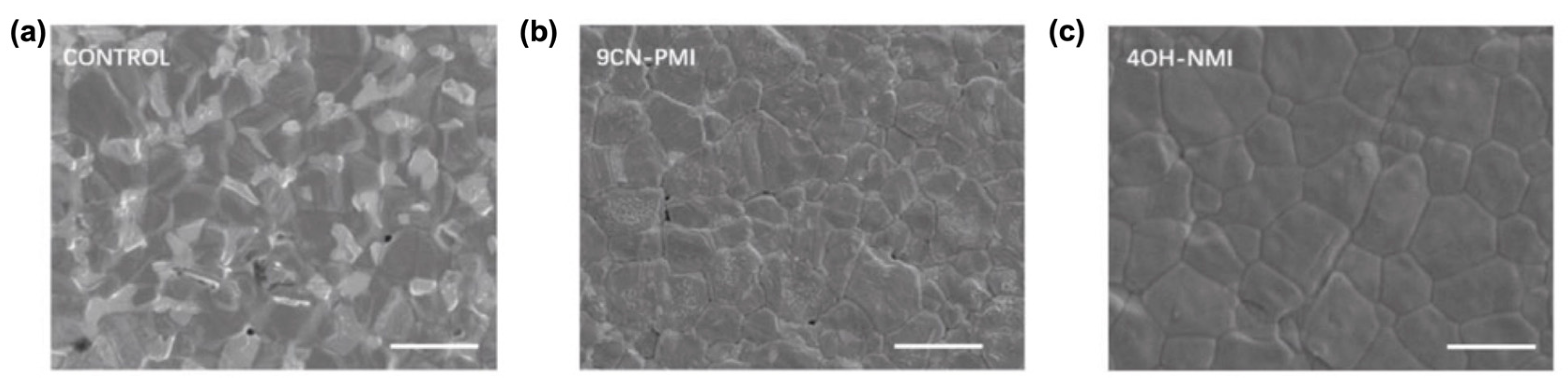 Molecules 29 00559 g013