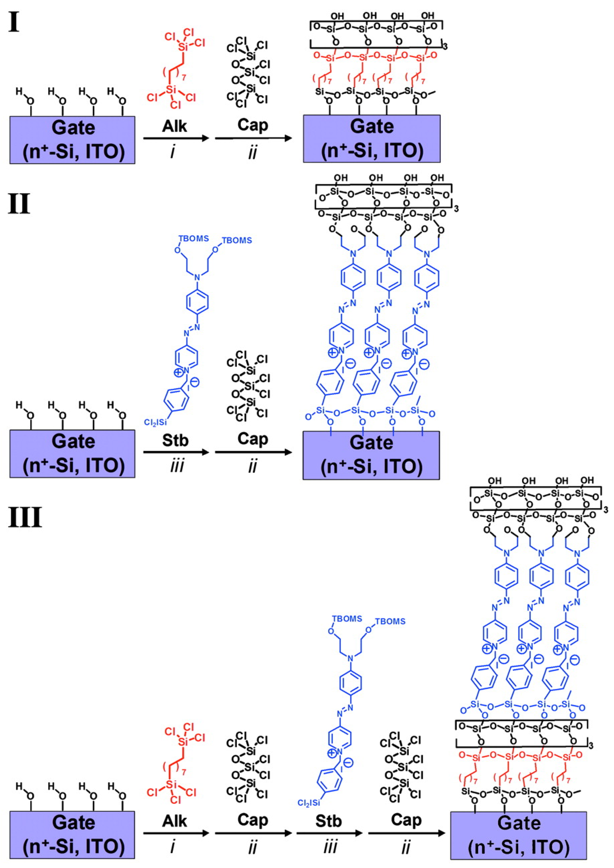 Molecules 29 00559 g015