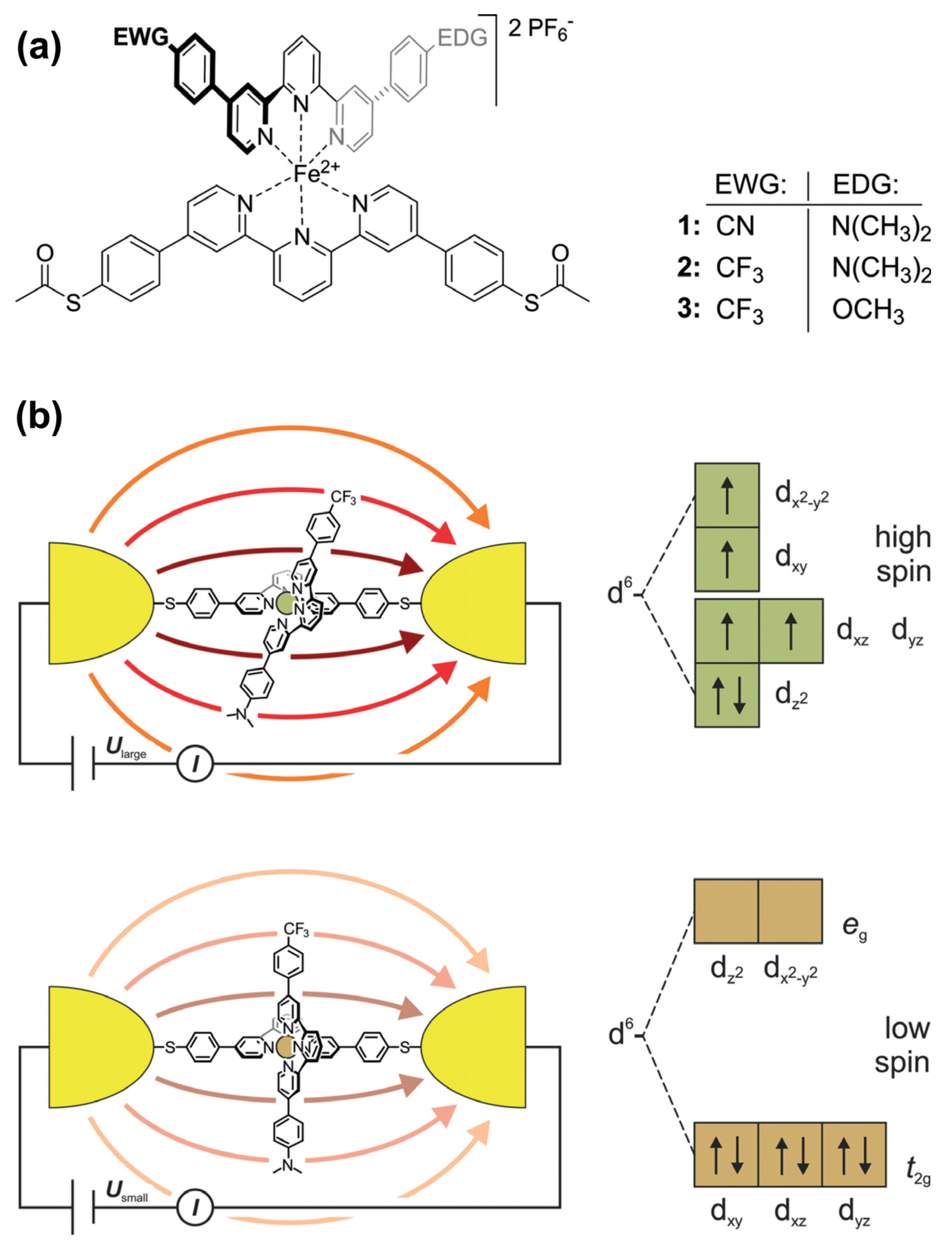 Molecules 29 00559 g020