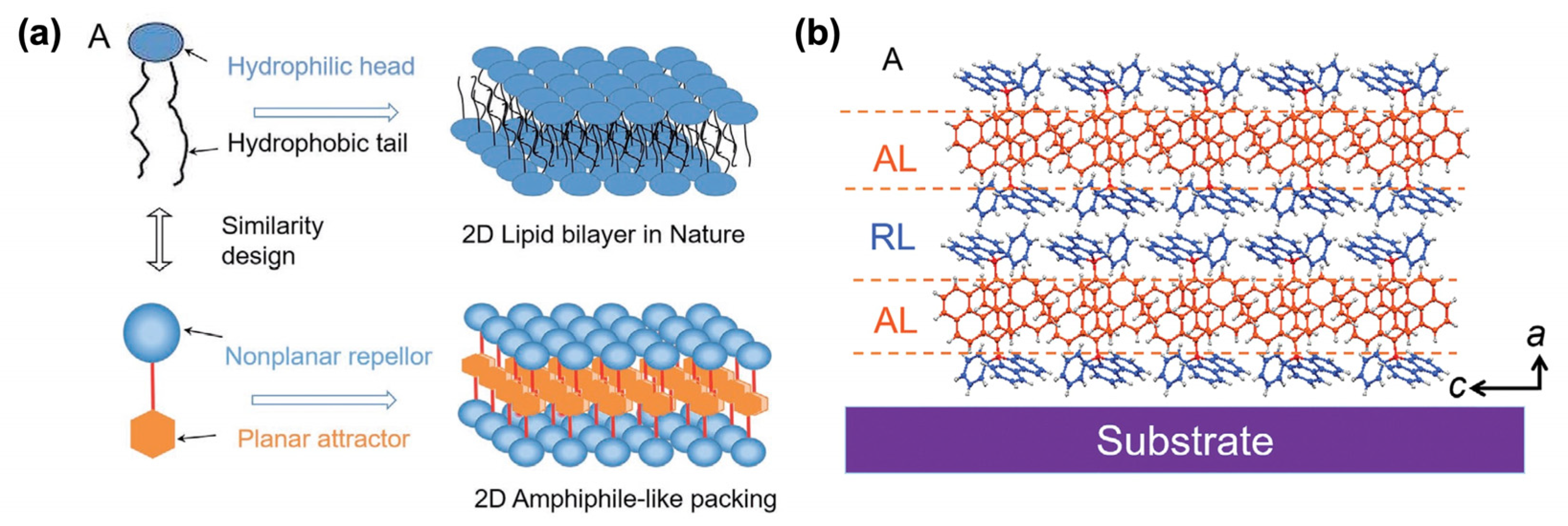 Molecules 29 00559 g021