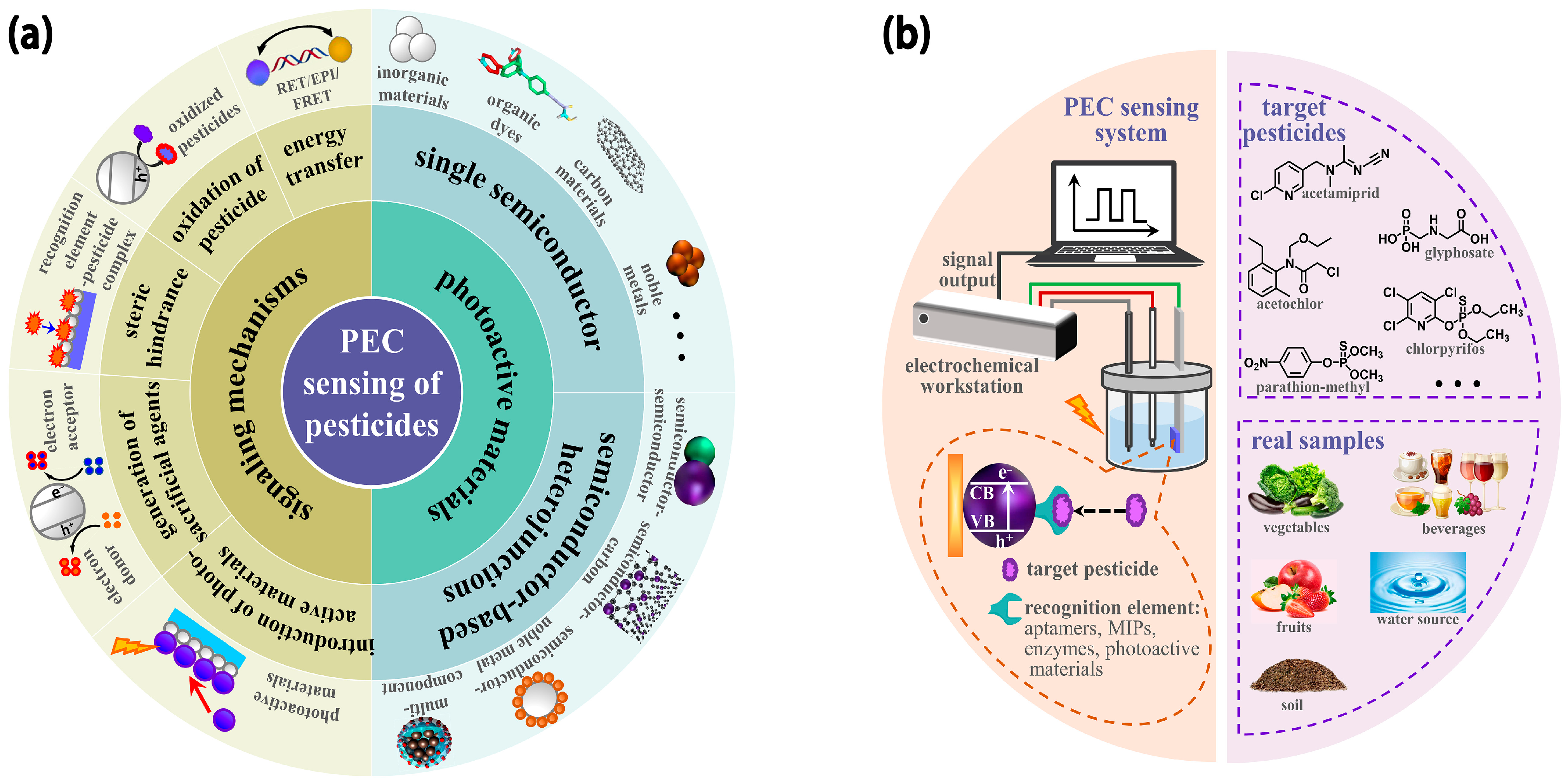 Molecules 29 00560 g001