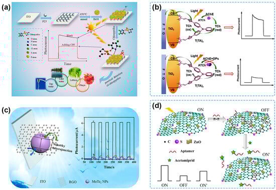 Molecules 29 00560 g003