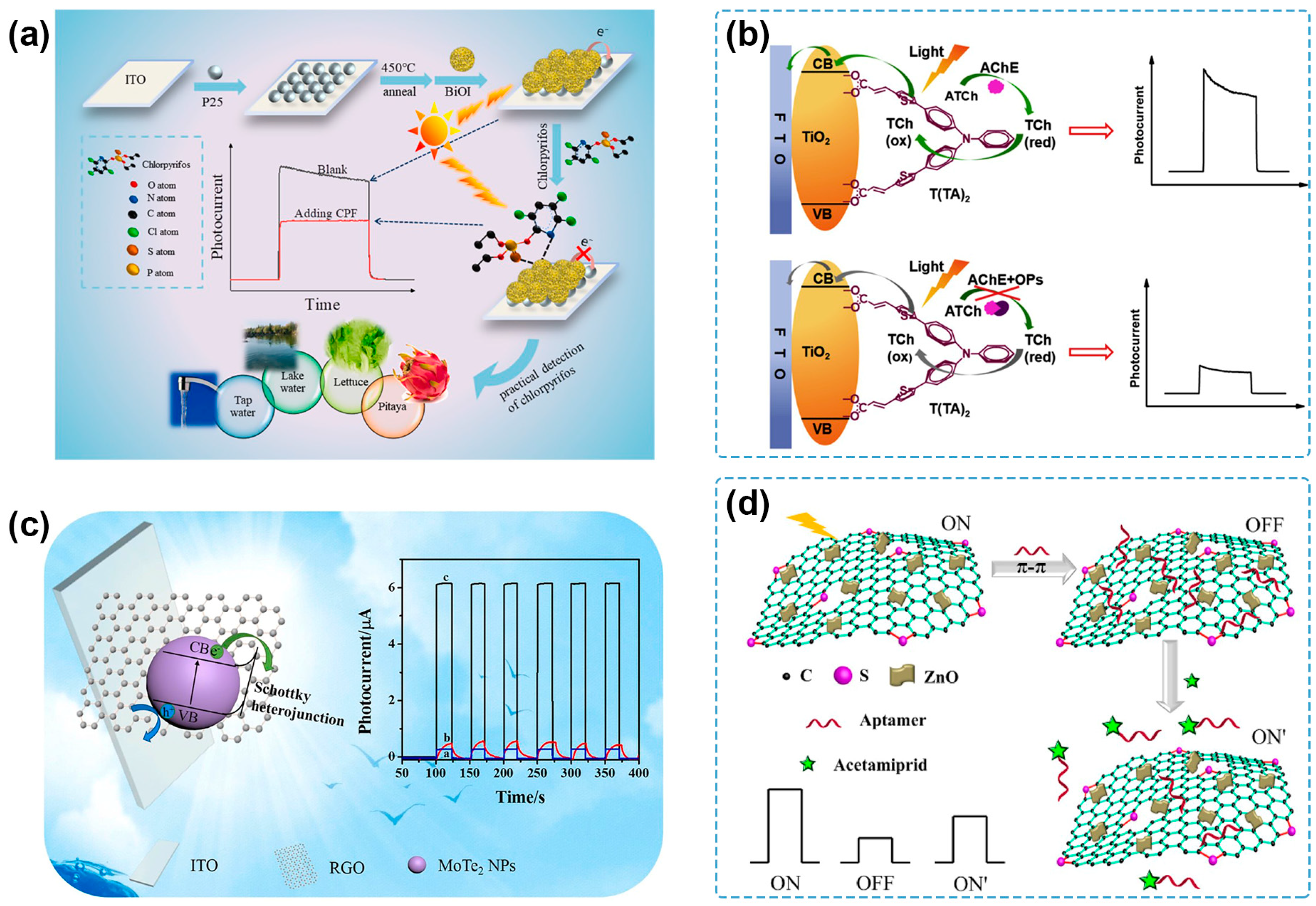 Molecules 29 00560 g003