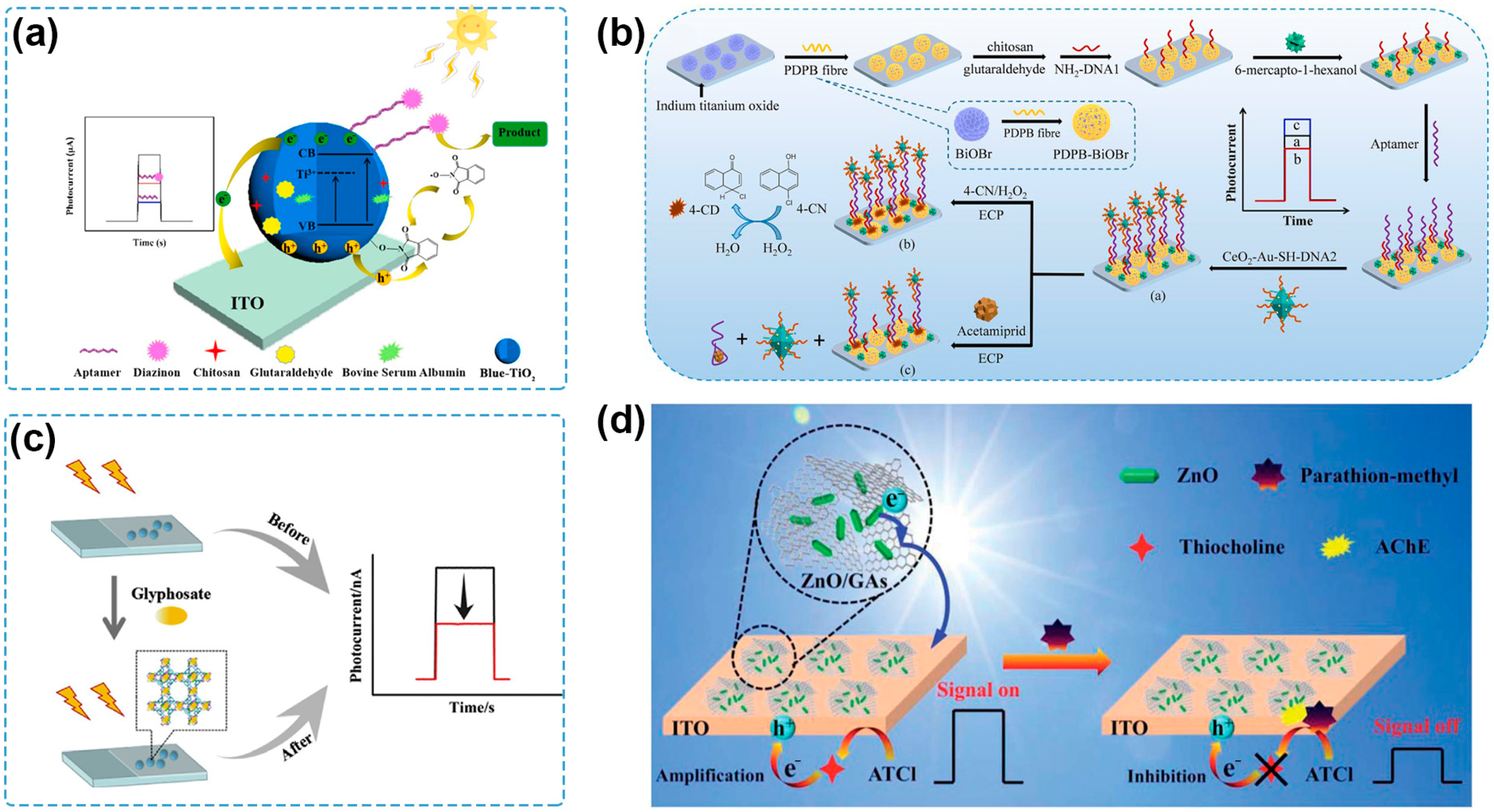 Molecules 29 00560 g005