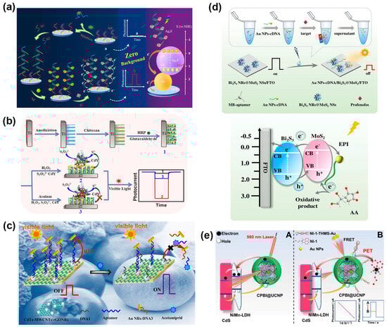 Molecules 29 00560 g006