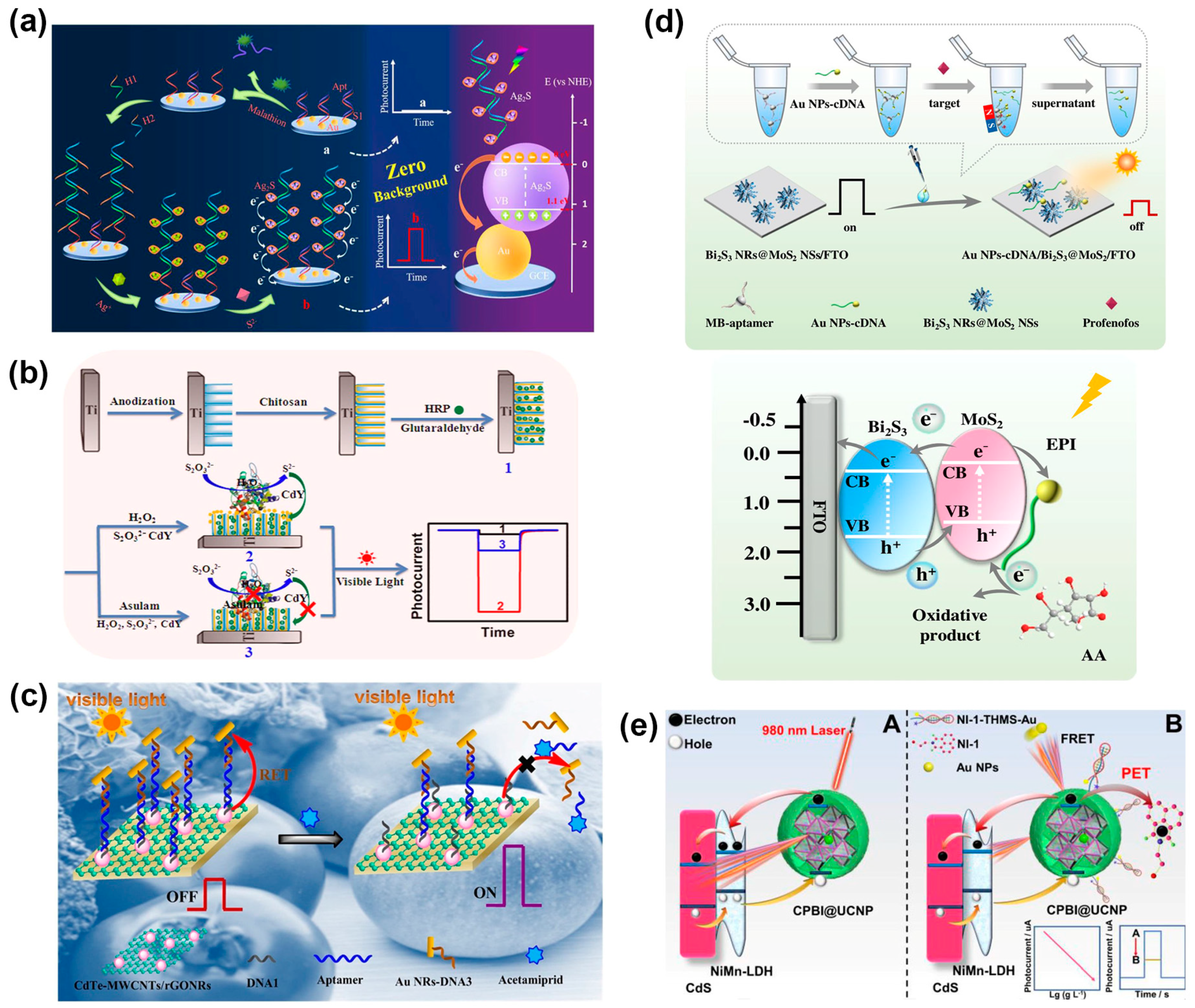 Molecules 29 00560 g006