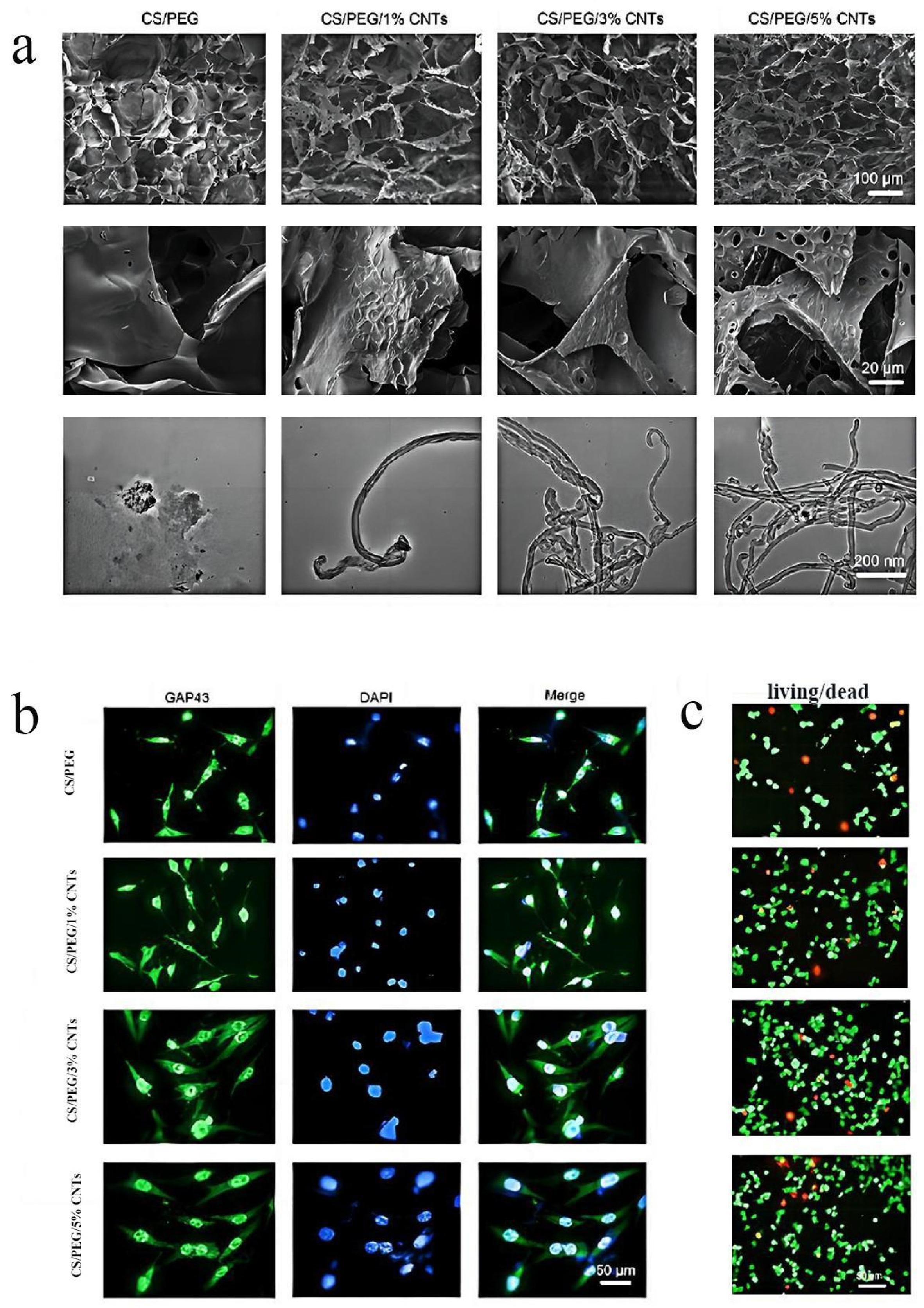 Molecules 29 00566 g002