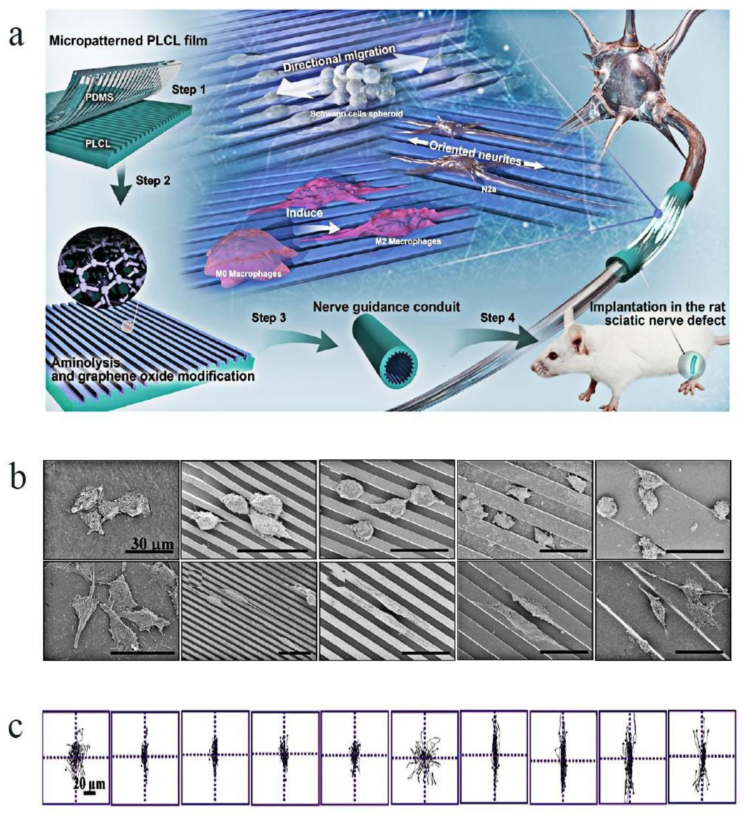 Molecules 29 00566 g003
