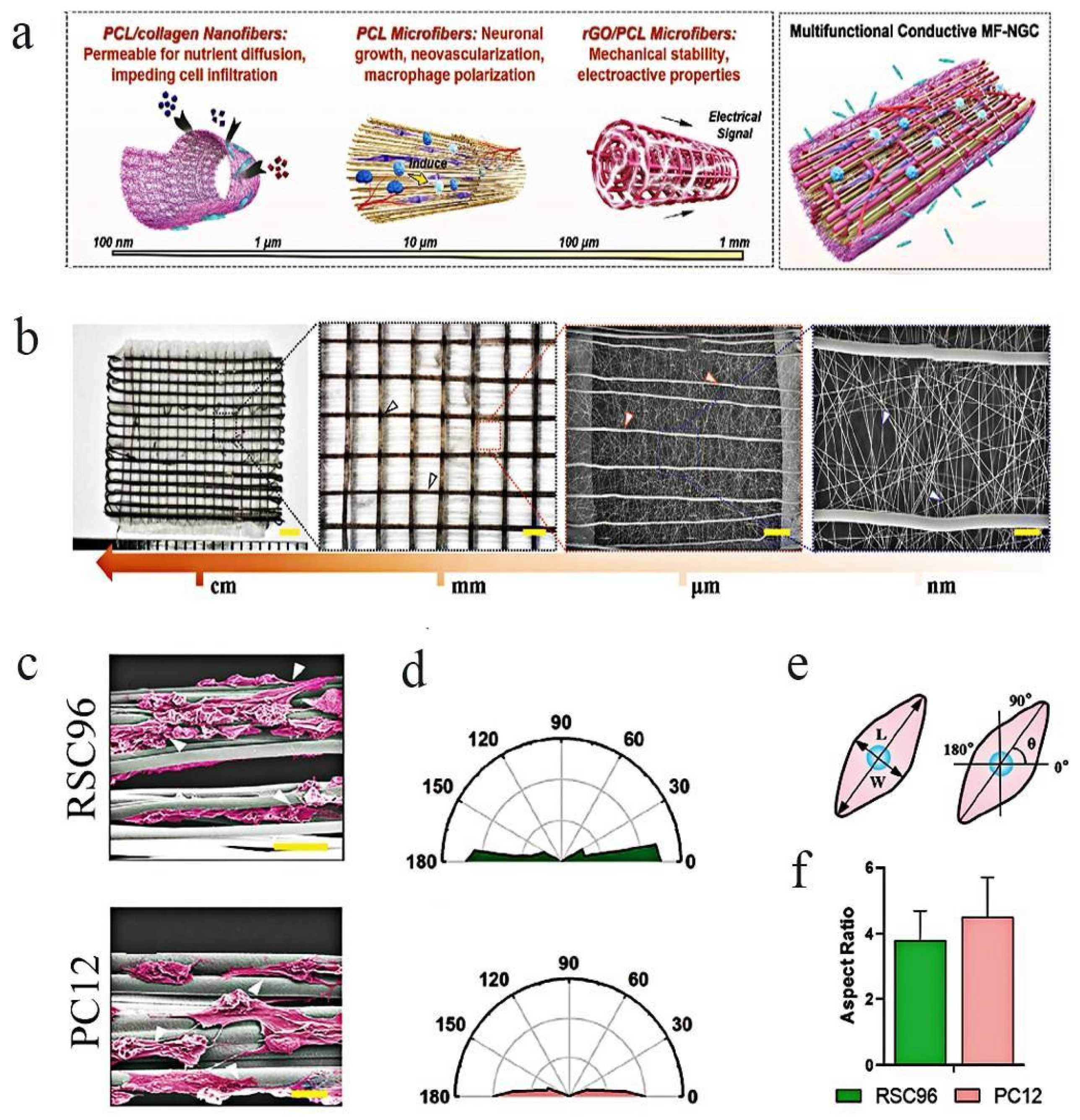 Molecules 29 00566 g004