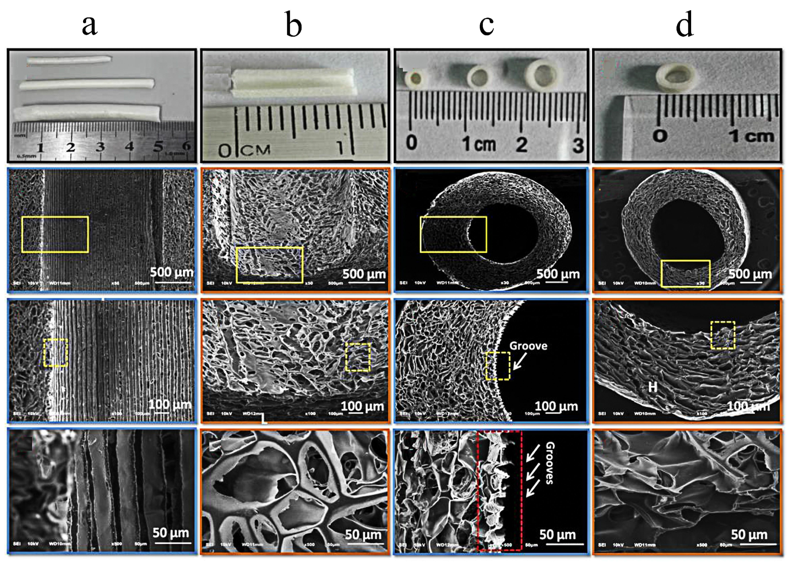 Molecules 29 00566 g006a