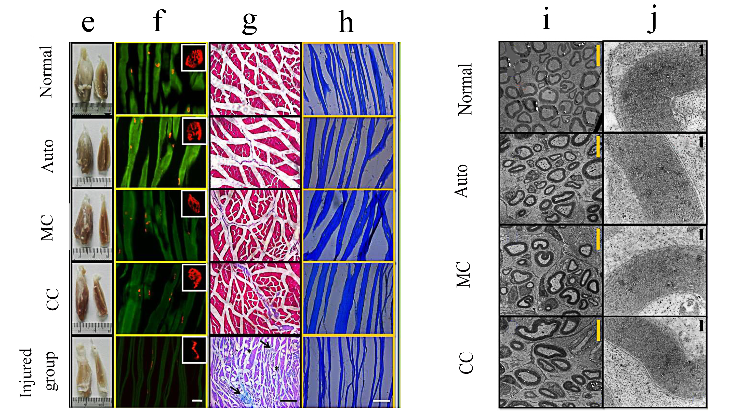 Molecules 29 00566 g006b