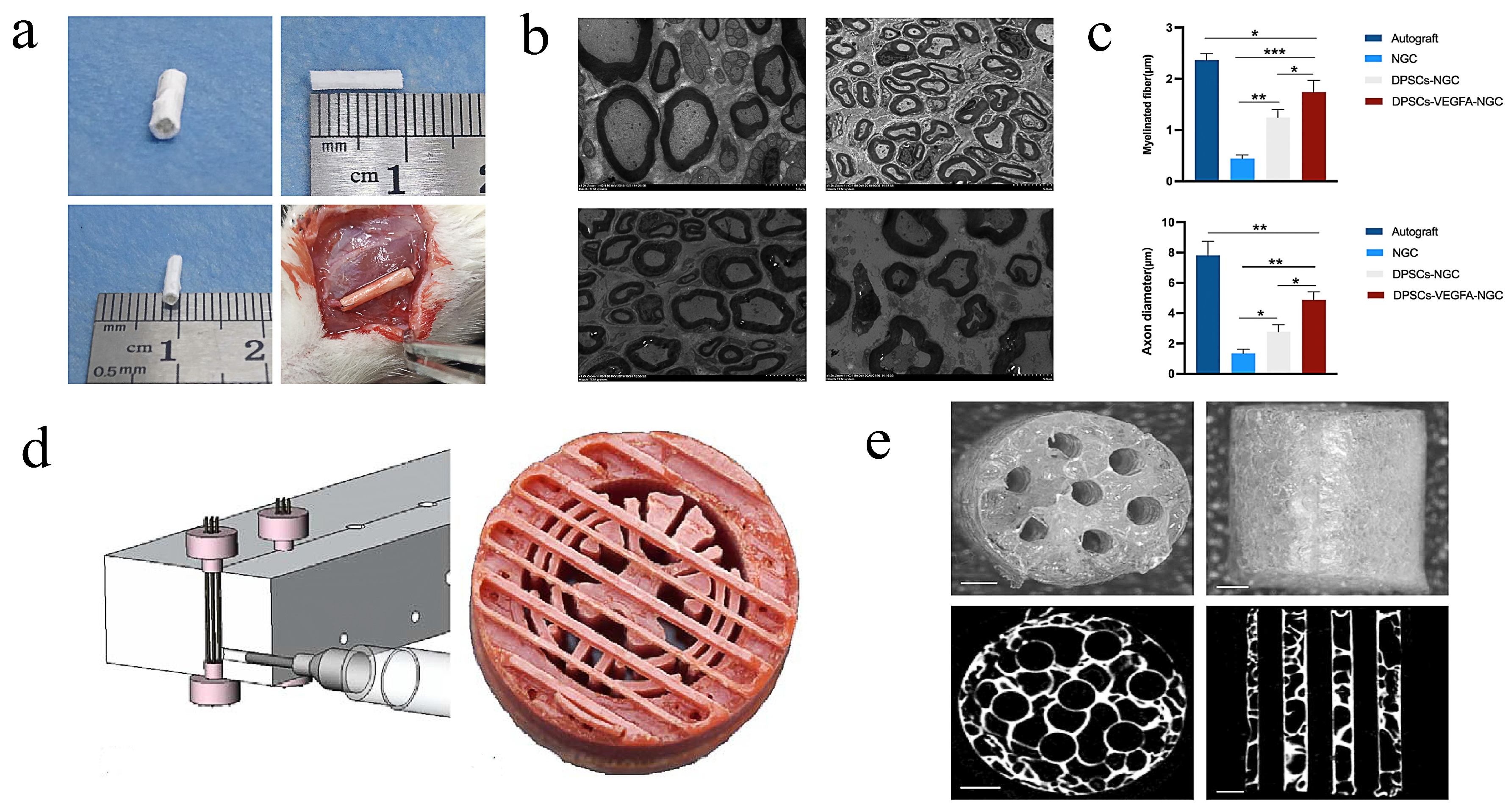 Molecules 29 00566 g008